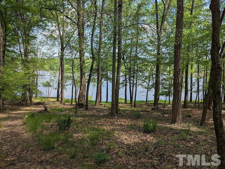 Ivy Hill Road Clarksville, VA 23927 - Photo 17 of 25 a big yard with lots of green space and trees