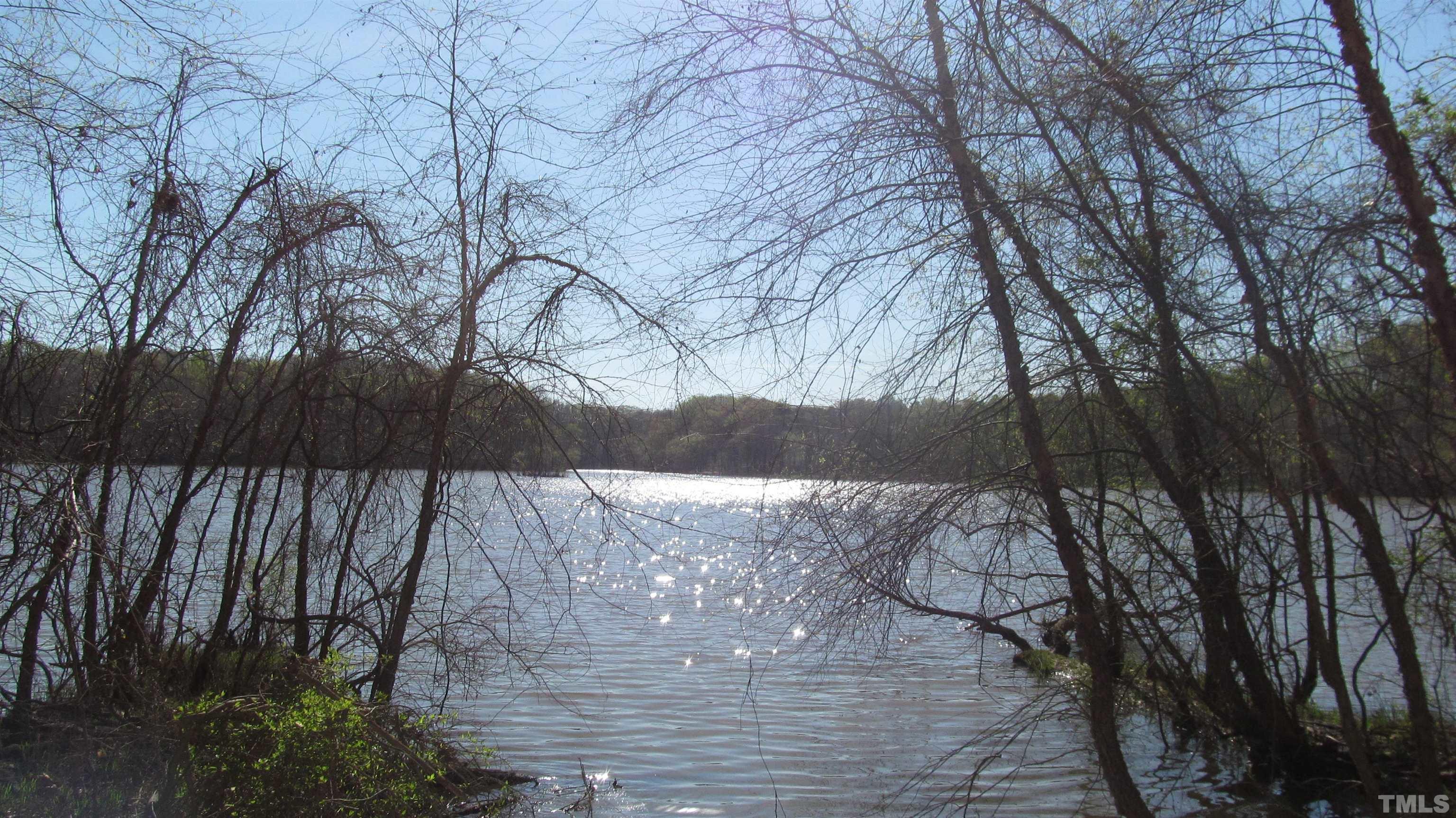 Ivy Hill Road Clarksville, VA 23927 - Photo 18 of 25 a view of mountain view with trees in the background