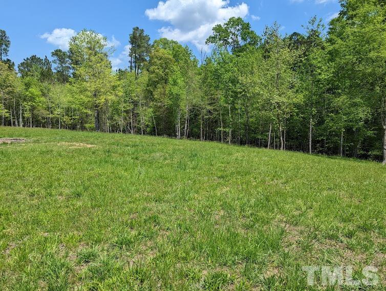 Ivy Hill Road Clarksville, VA 23927 - Photo 19 of 25 a view of a field with a tree in the background