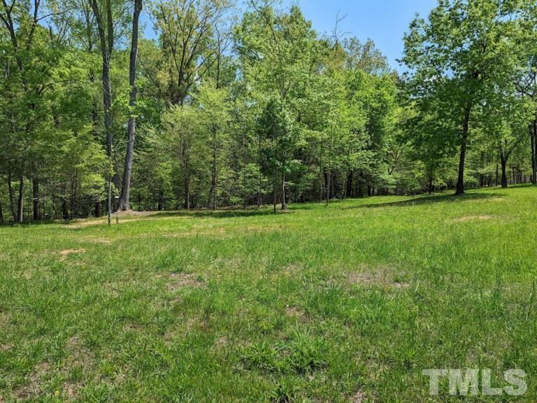Ivy Hill Road Clarksville, VA 23927 - Photo 20 of 25 a view of a grassy field with trees