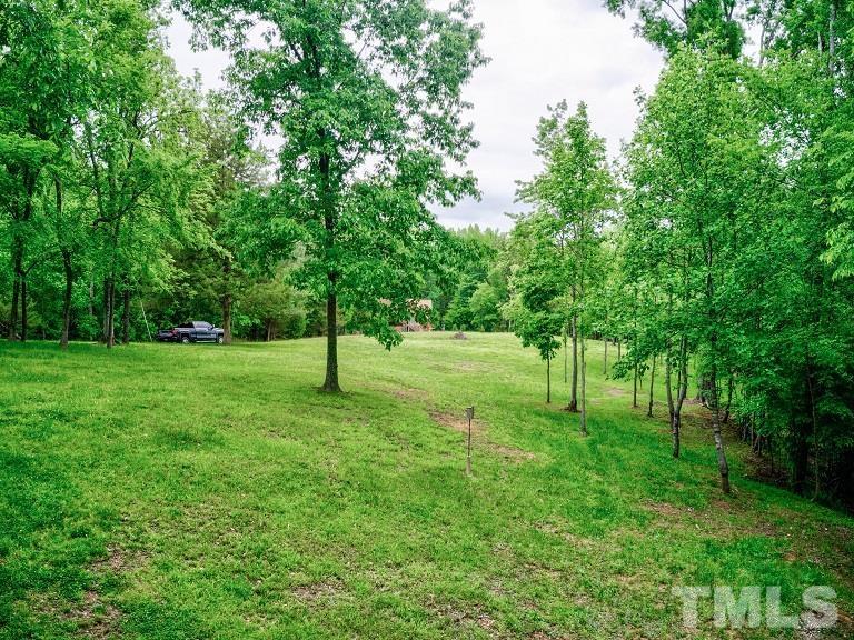 Ivy Hill Road Clarksville, VA 23927 - Photo 2 of 25 a view of a tree in a park