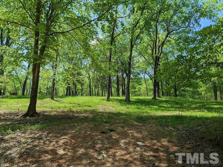 Ivy Hill Road Clarksville, VA 23927 - Photo 21 of 25 a view of a grassy field with trees in the background