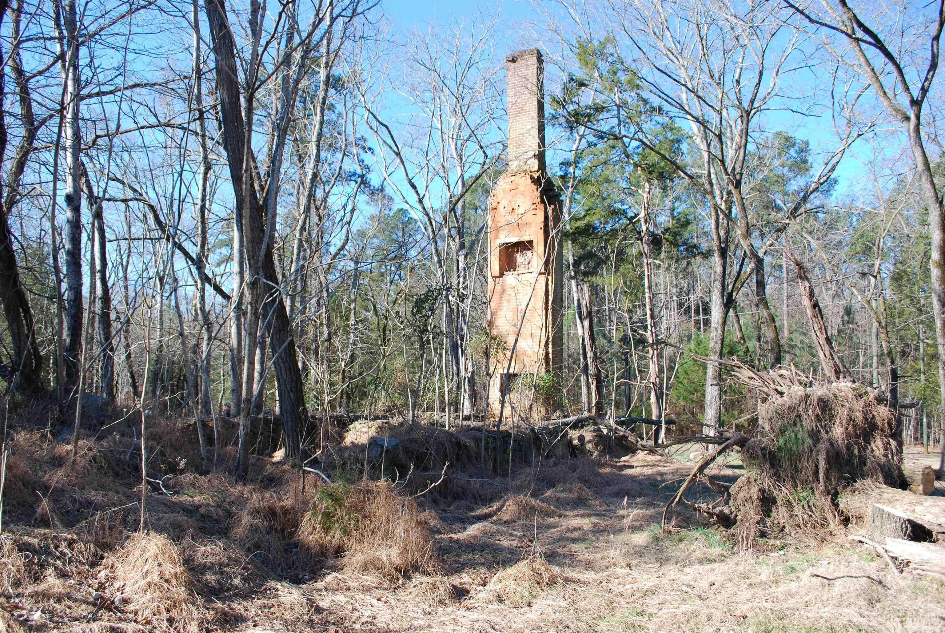 Ivy Hill Road Clarksville, VA 23927 - Photo 22 of 25 a view of backyard with plants and trees