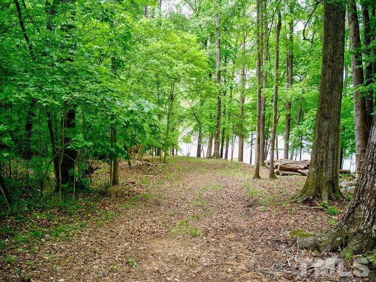 Ivy Hill Road Clarksville, VA 23927 - Photo 3 of 25 a view of forest