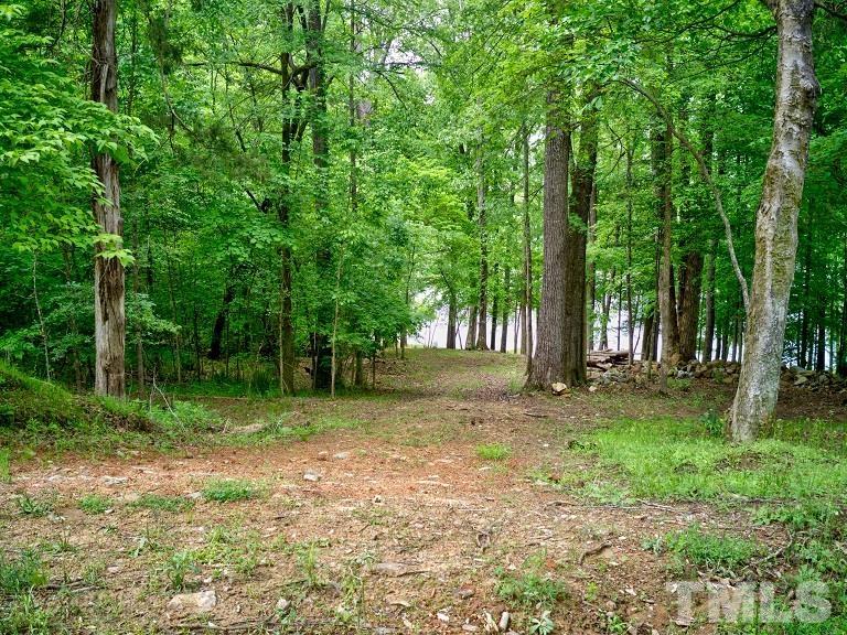 Ivy Hill Road Clarksville, VA 23927 - Photo 6 of 25 a view of a tree in the middle of a forest