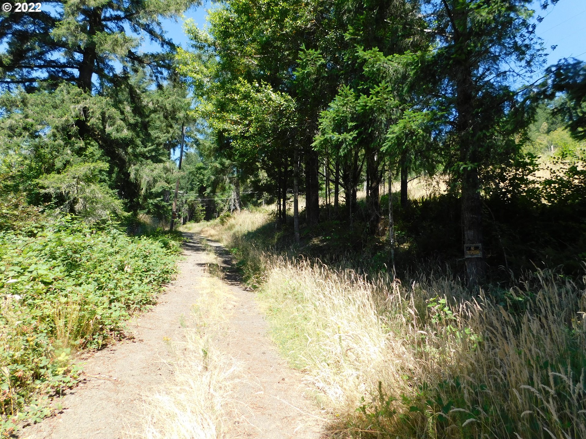 19119 Highway 42 Myrtle Point, OR 97458 - Photo 2 of 3 Gallery Image 2