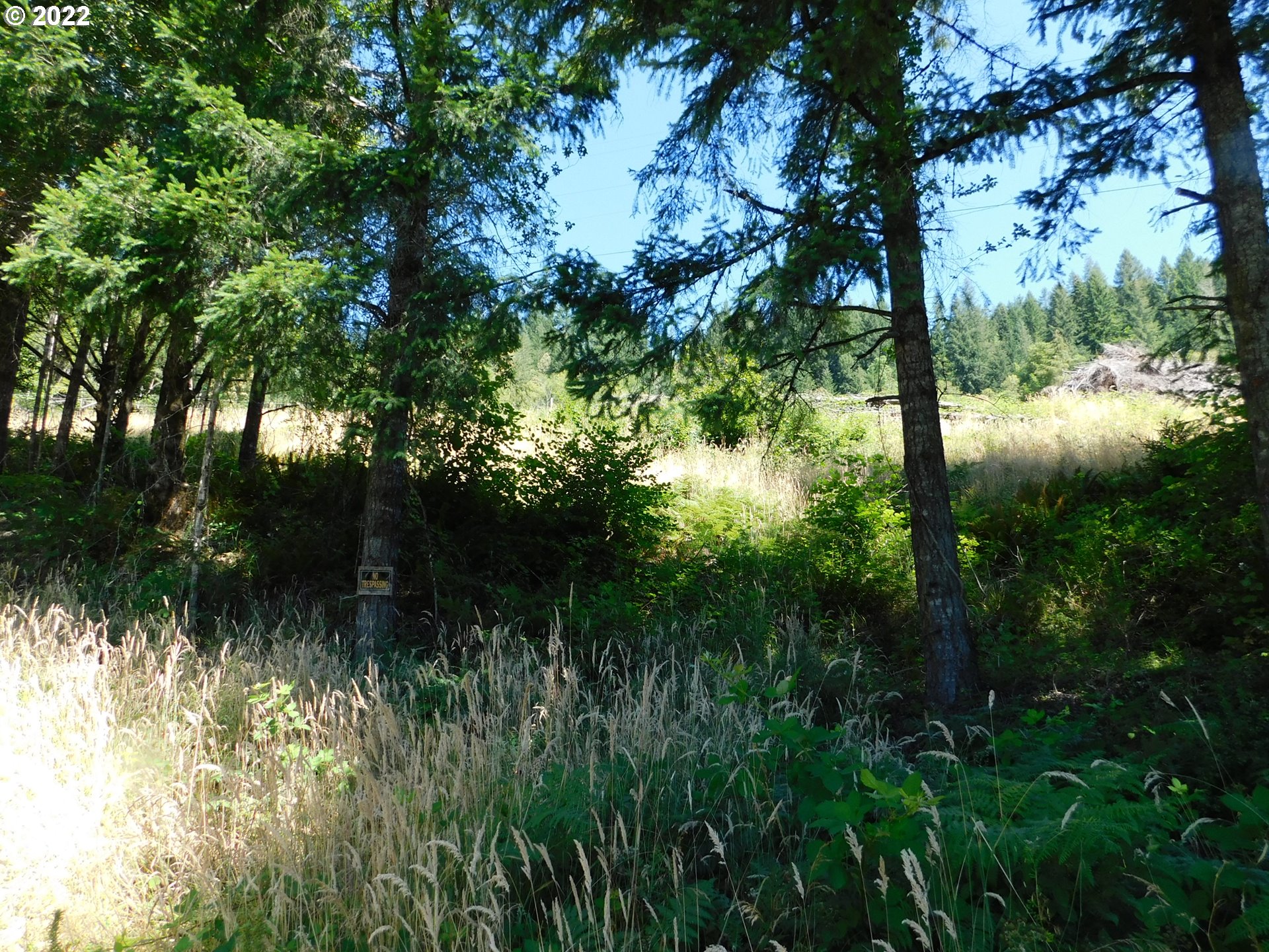 19119 Highway 42 Myrtle Point, OR 97458 - Photo 3 of 3 Gallery Image 3