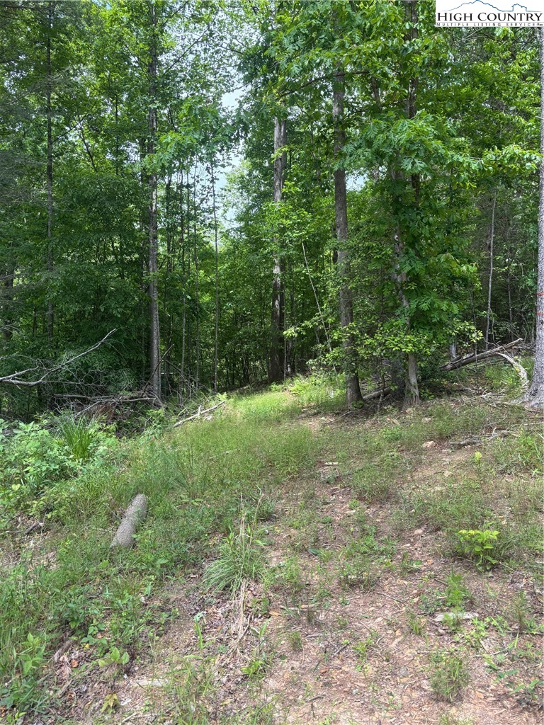 Round Hill Traphill, NC 28685 - Photo 2 of 12 a view of outdoor space and green field