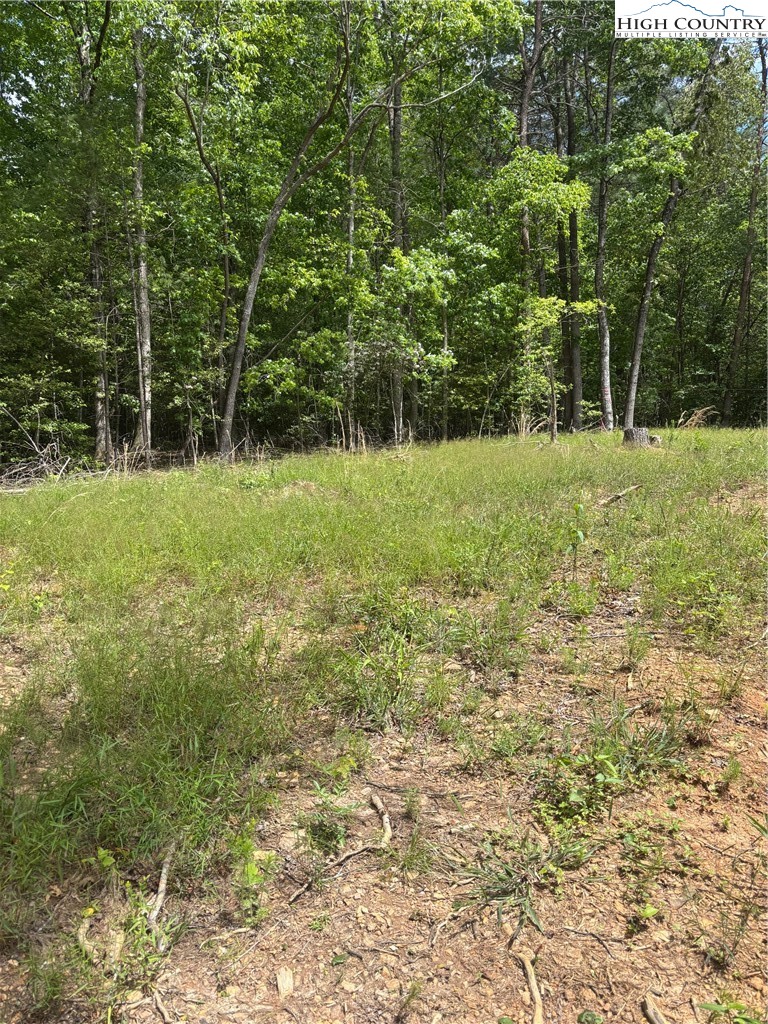 Round Hill Traphill, NC 28685 - Photo 3 of 12 a view of outdoor space and yard