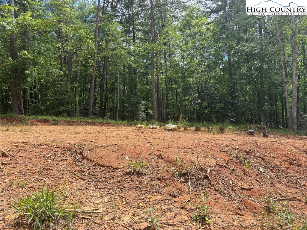 Round Hill Traphill, NC 28685 - Photo 5 of 12 a pathway of a yard