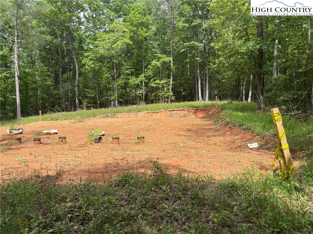 Round Hill Traphill, NC 28685 - Photo 8 of 12 a view of a yard with trees