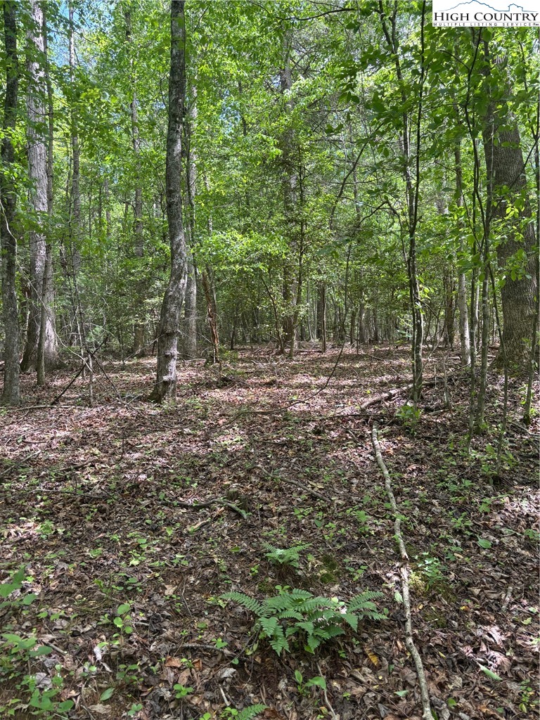 Round Hill Traphill, NC 28685 - Photo 10 of 12 a big yard with lots of green space and deers