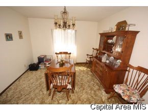 14 Sarah Avenue Springfield, IL 62703 - Photo 9 of 12