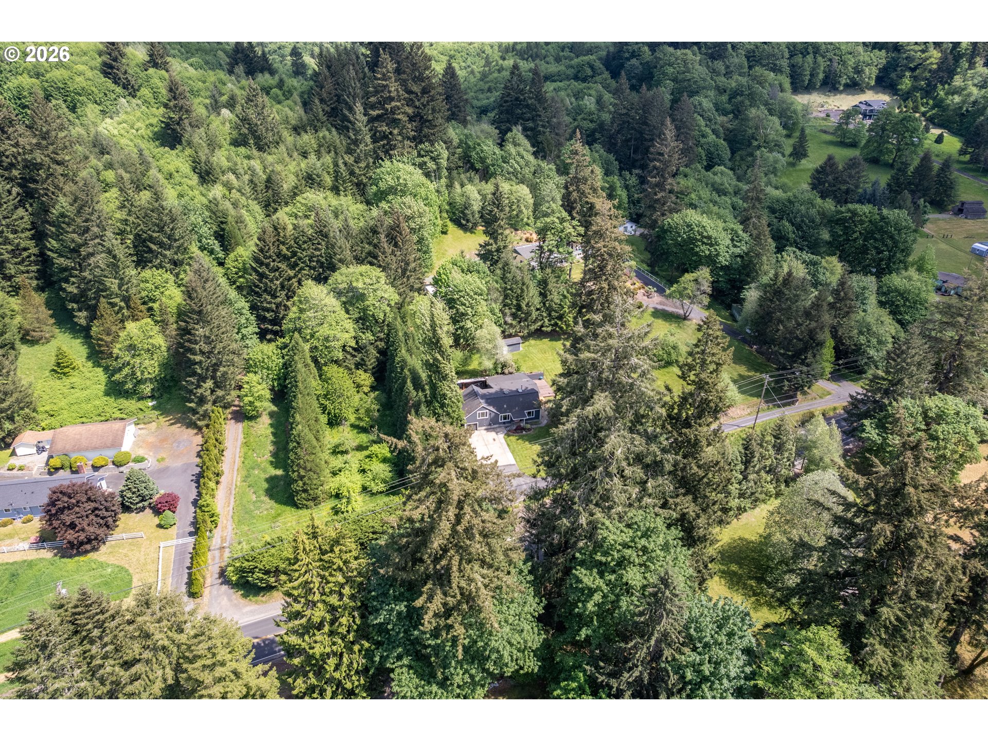 1304 Coal Creek Road Longview, WA 98632 - Photo 42 of 44 a view of a forest with a street