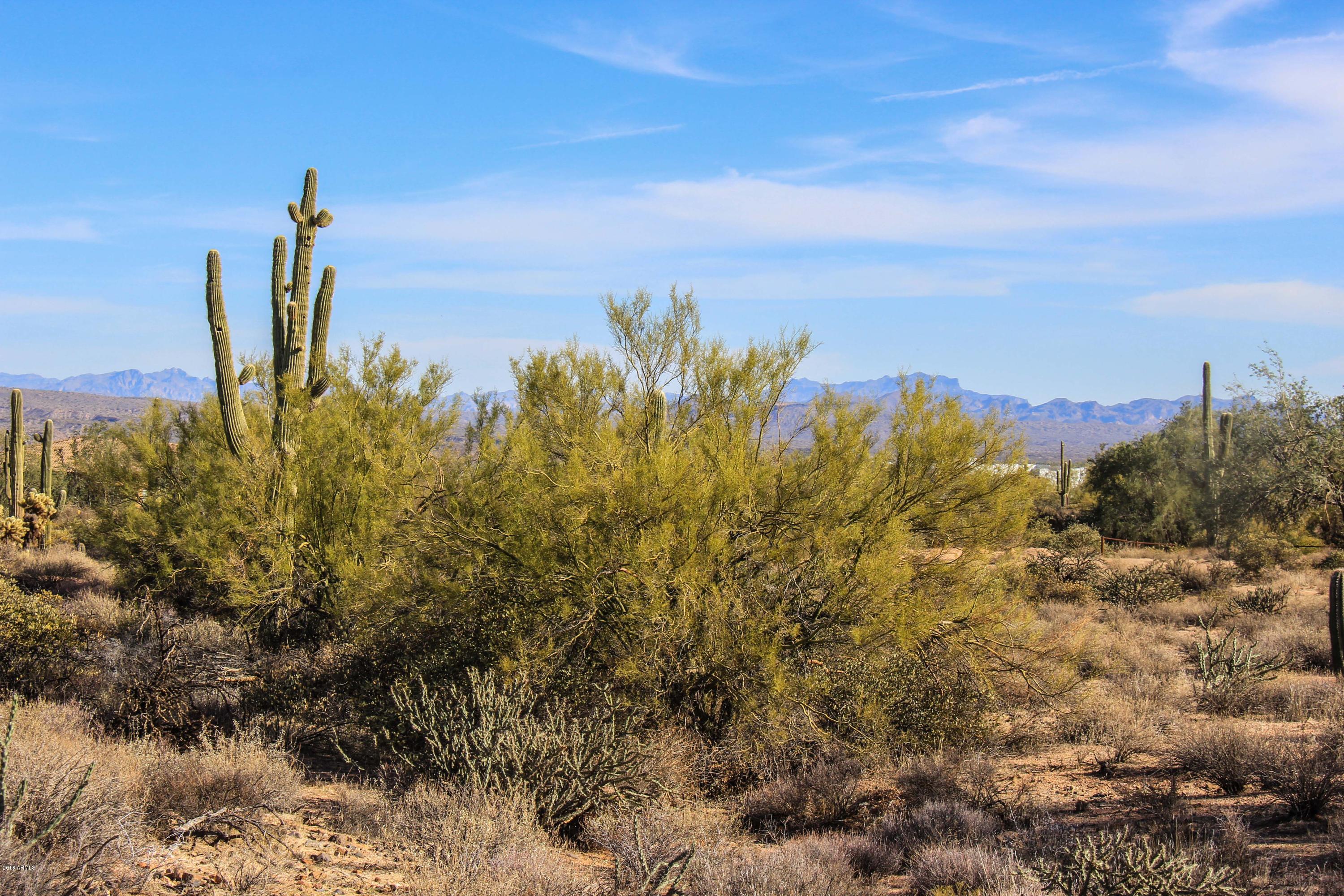 30704-aprx North 174th Street Rio Verde, AZ 85263 - Photo 11 of 18 Rio-15