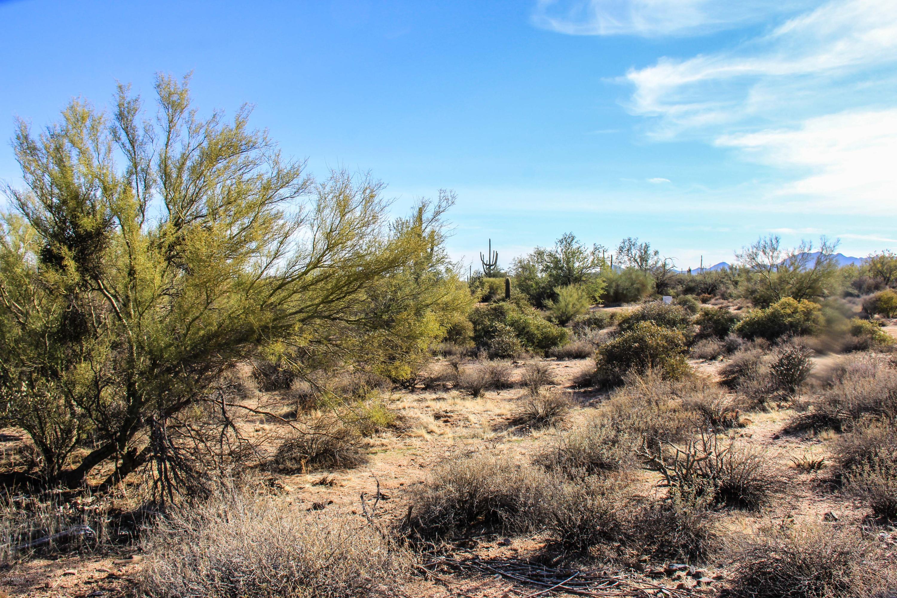 30704-aprx North 174th Street Rio Verde, AZ 85263 - Photo 16 of 18 Rio-23