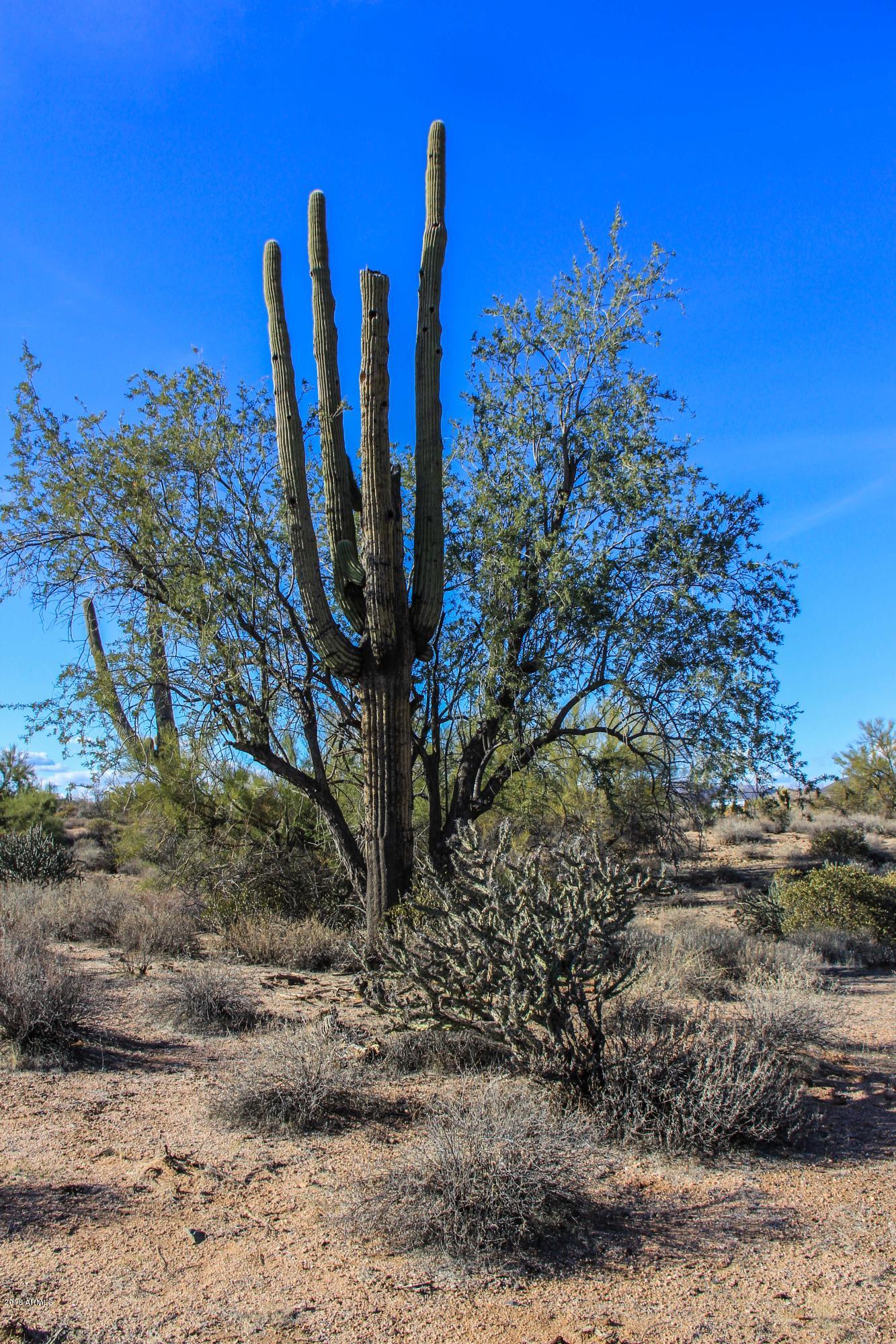 30704-aprx North 174th Street Rio Verde, AZ 85263 - Photo 18 of 18 Rio-25