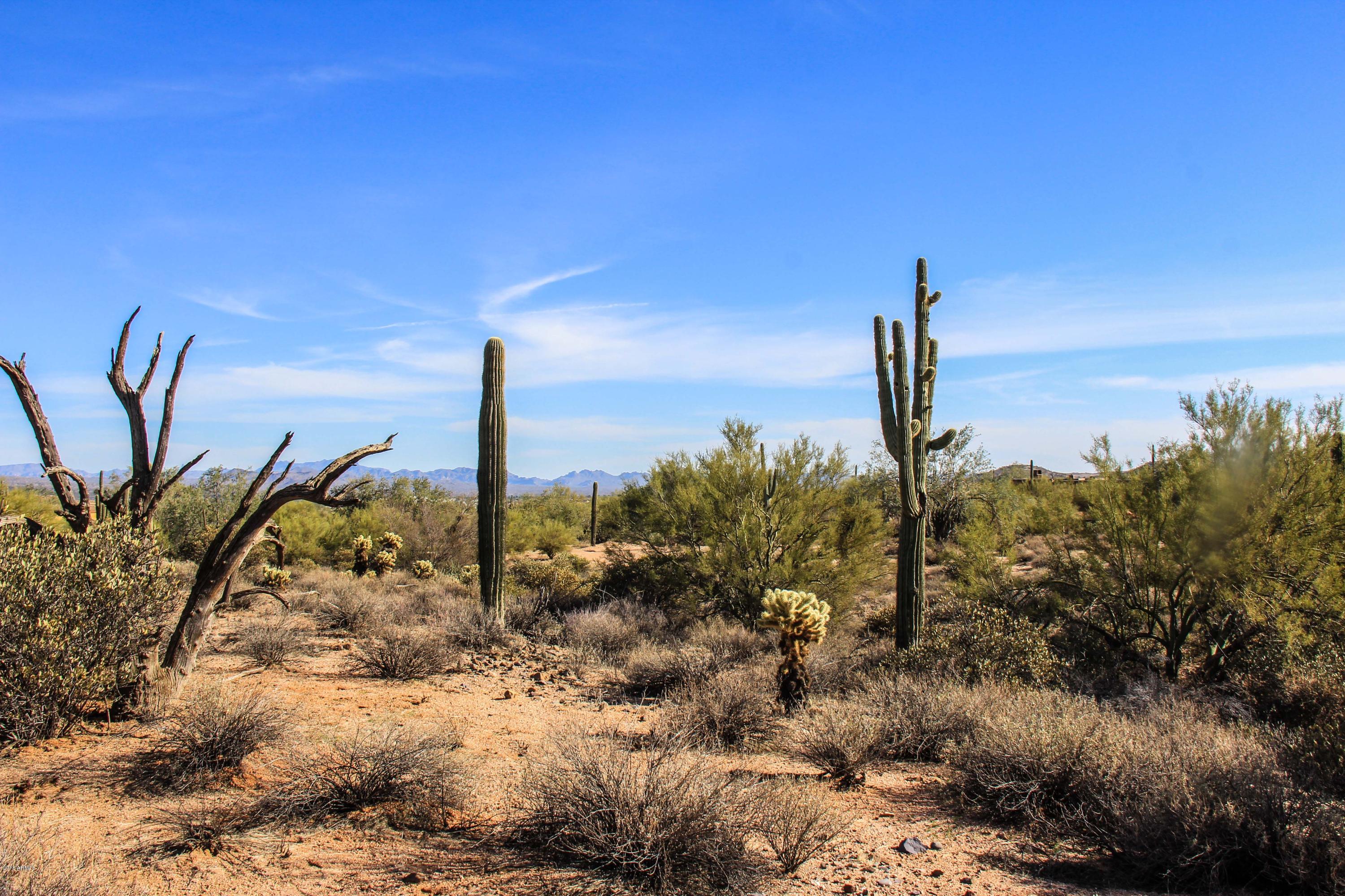 30704-aprx North 174th Street Rio Verde, AZ 85263 - Photo 10 of 18 Rio-14