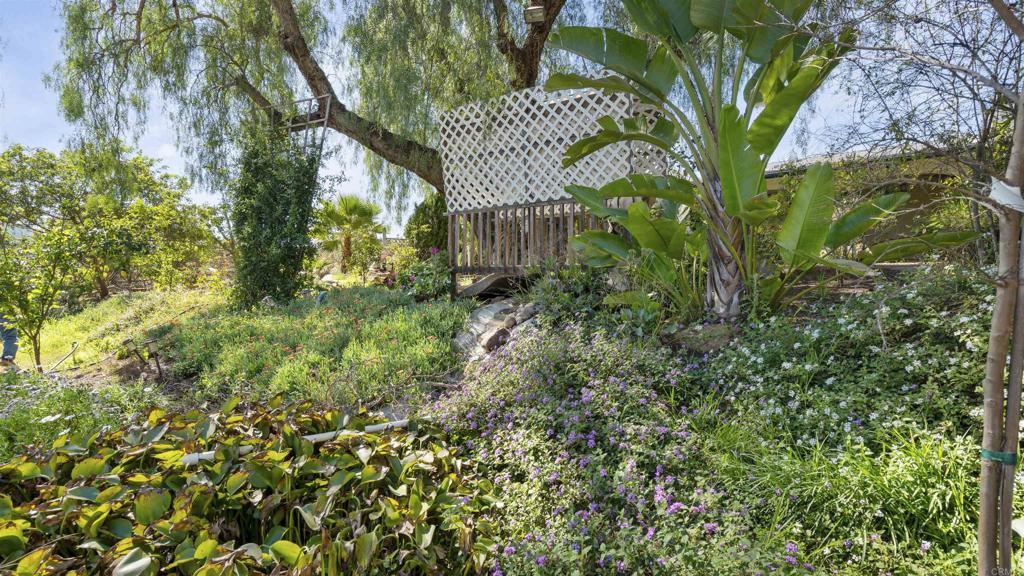 2919 Pioneer Way Jamul, CA 91935 - Photo 44 of 48