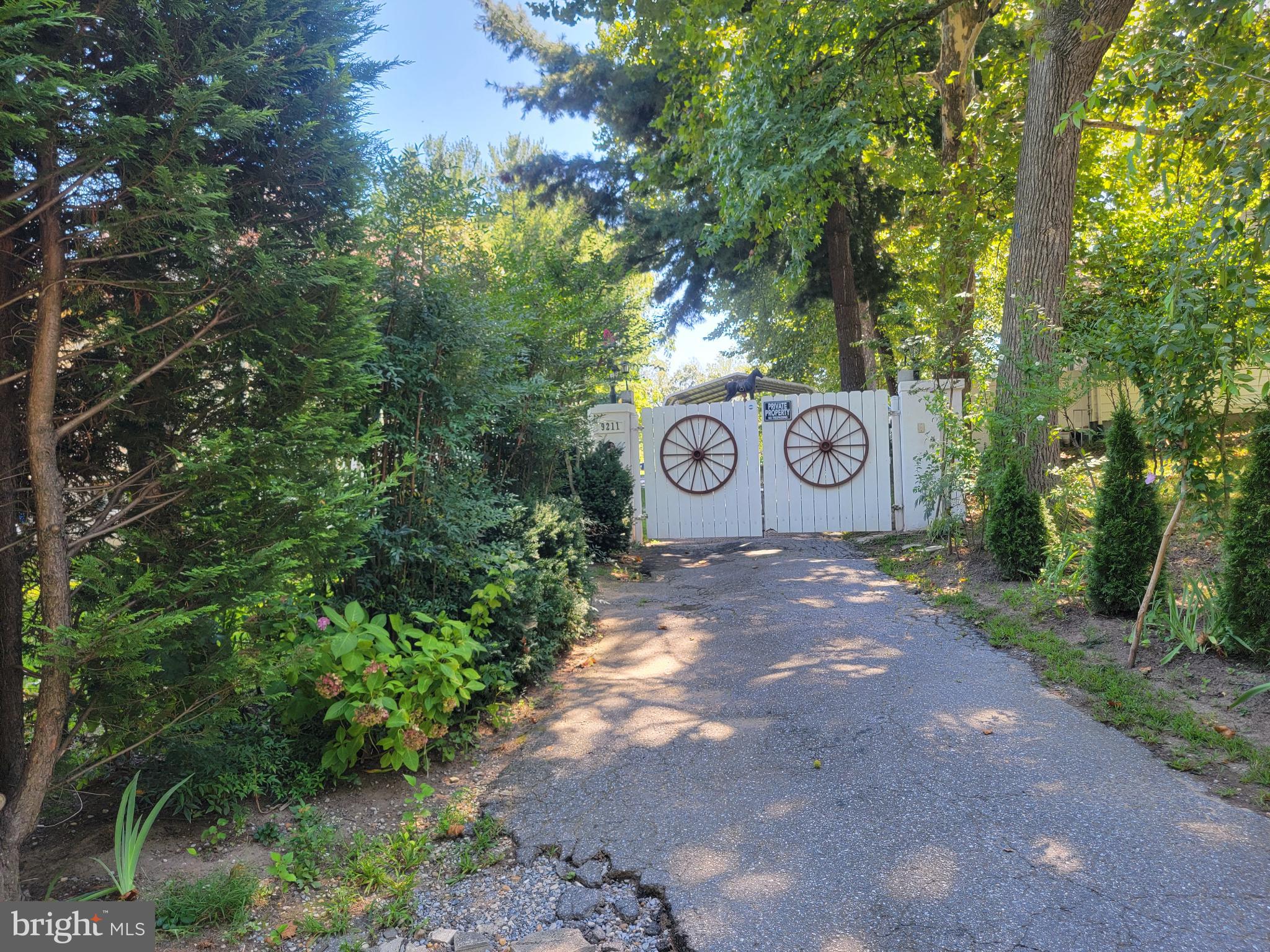9211 Fowler Lane Lanham, MD 20706 - Photo 7 of 50 a view of a tree in a yard