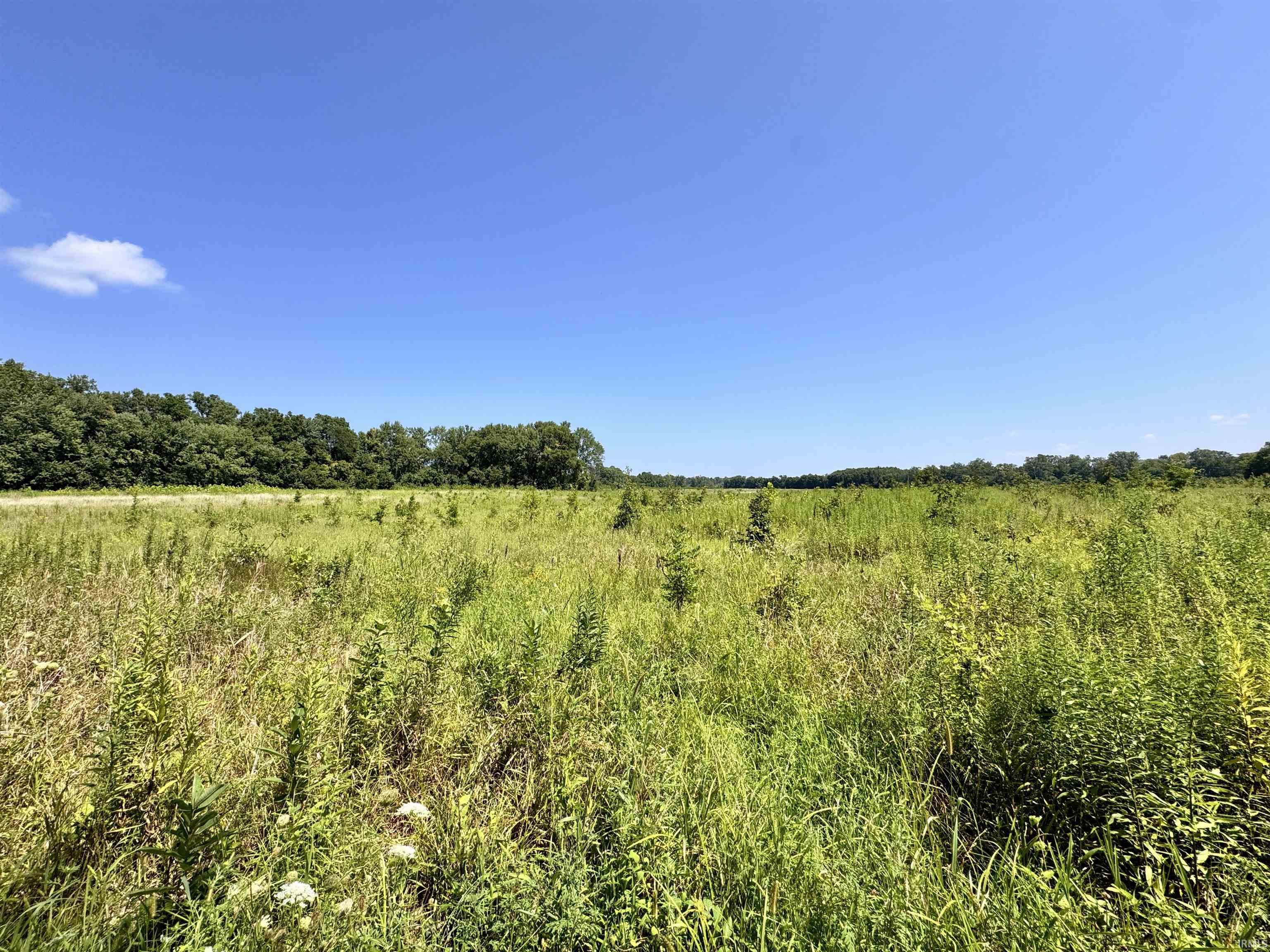 Flint Rd East Flint Road Attica, IN 47918 - Photo 11 of 36