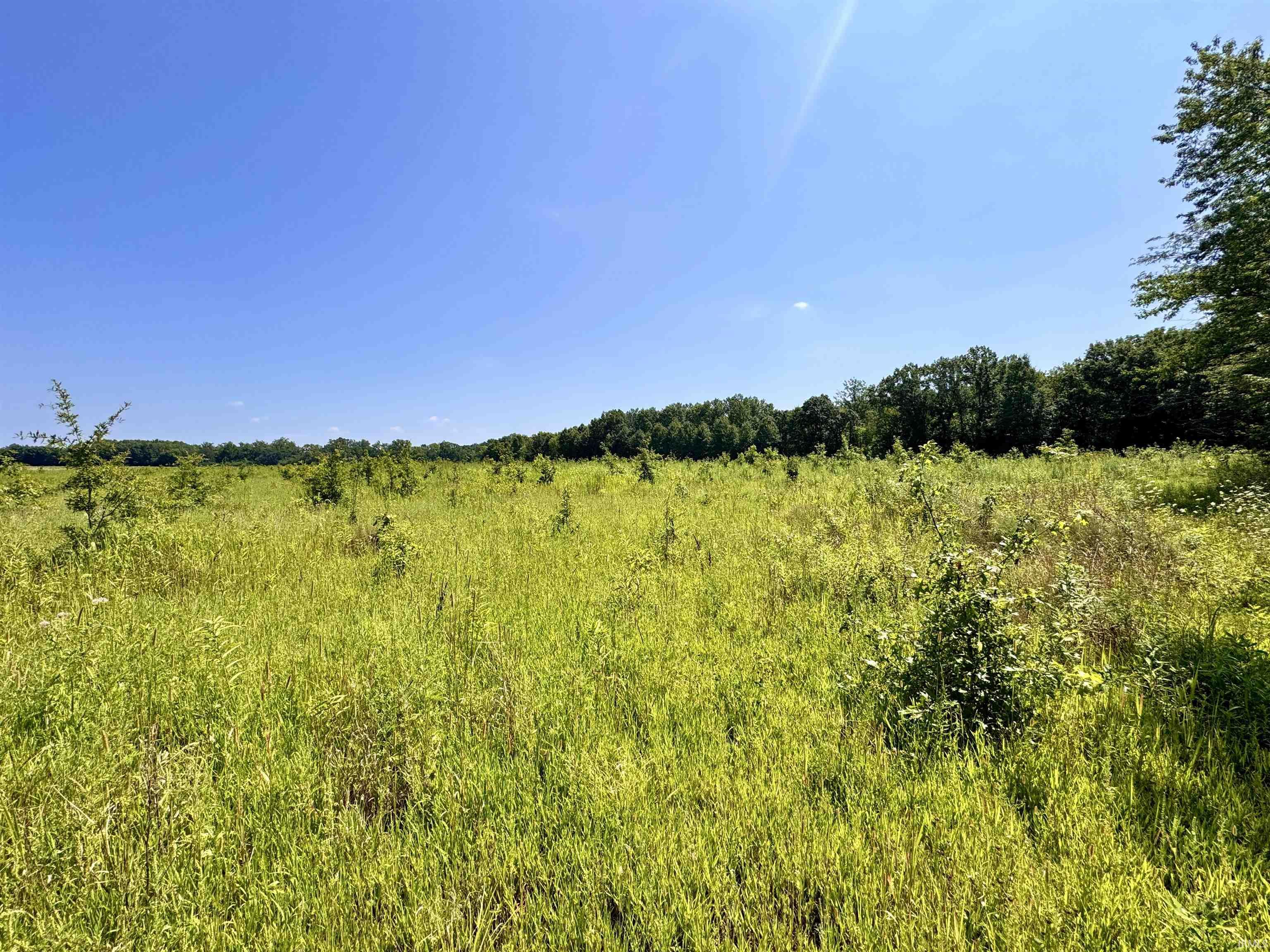 Flint Rd East Flint Road Attica, IN 47918 - Photo 12 of 36