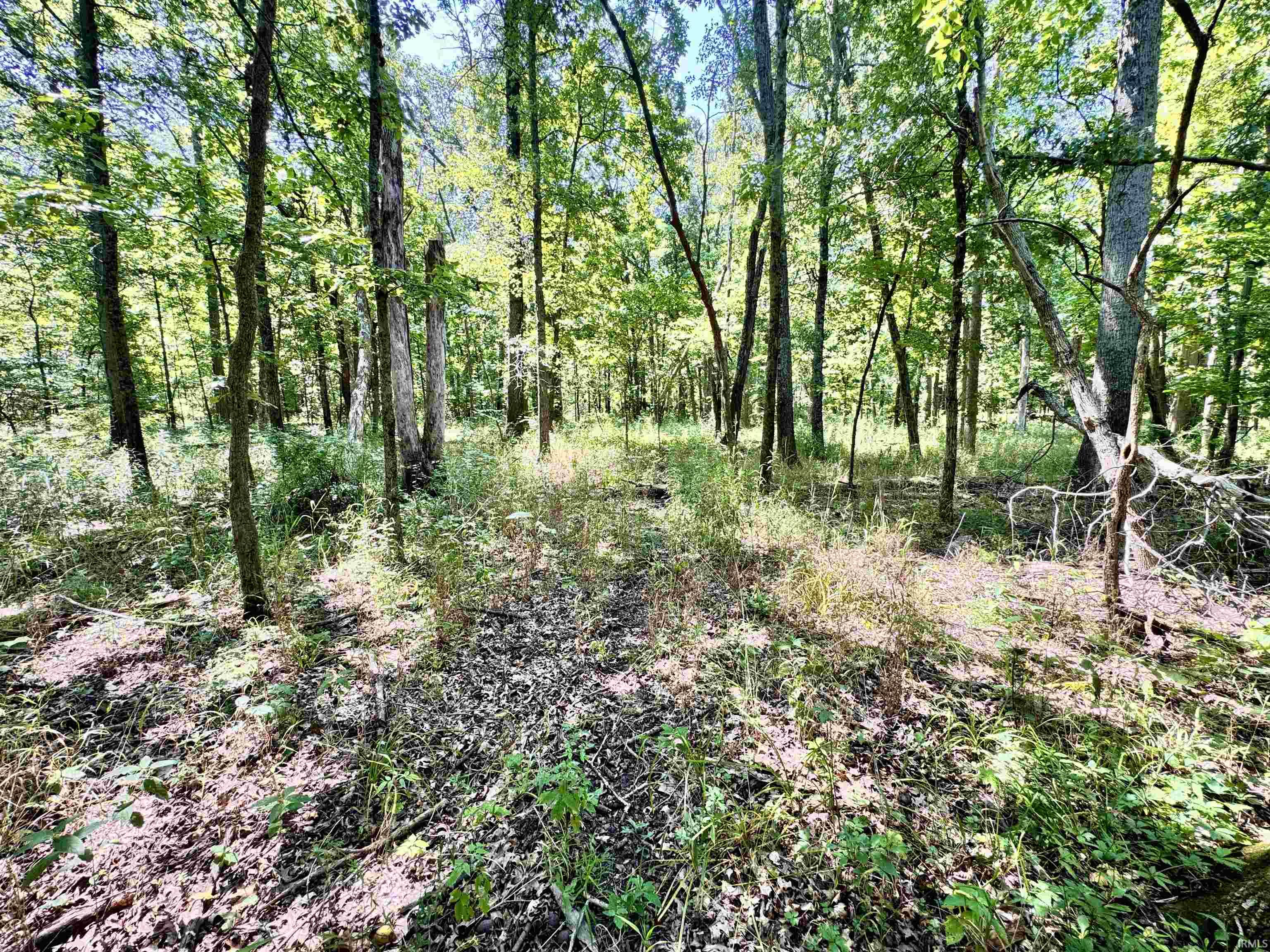 Flint Rd East Flint Road Attica, IN 47918 - Photo 14 of 36