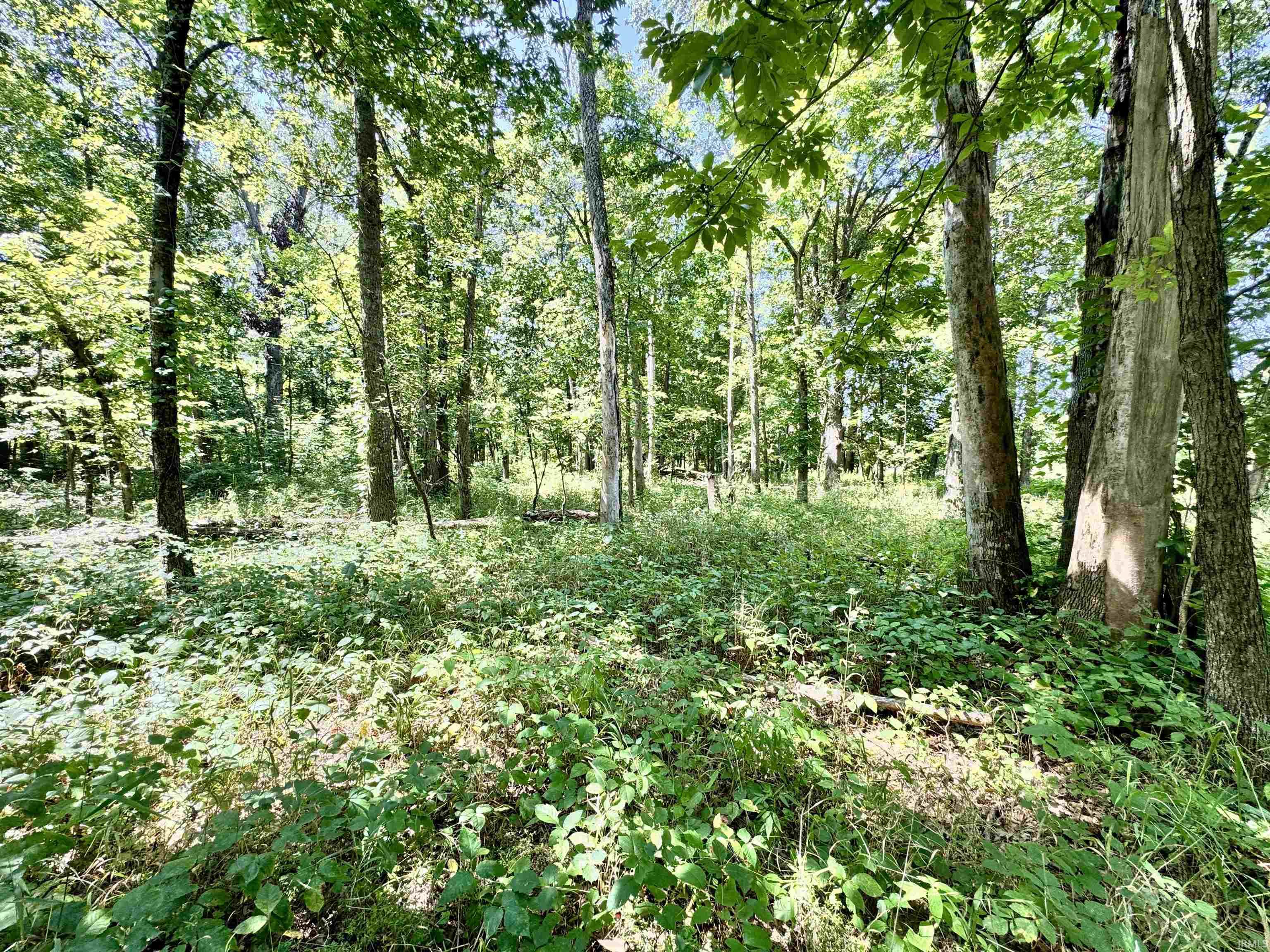 Flint Rd East Flint Road Attica, IN 47918 - Photo 15 of 36