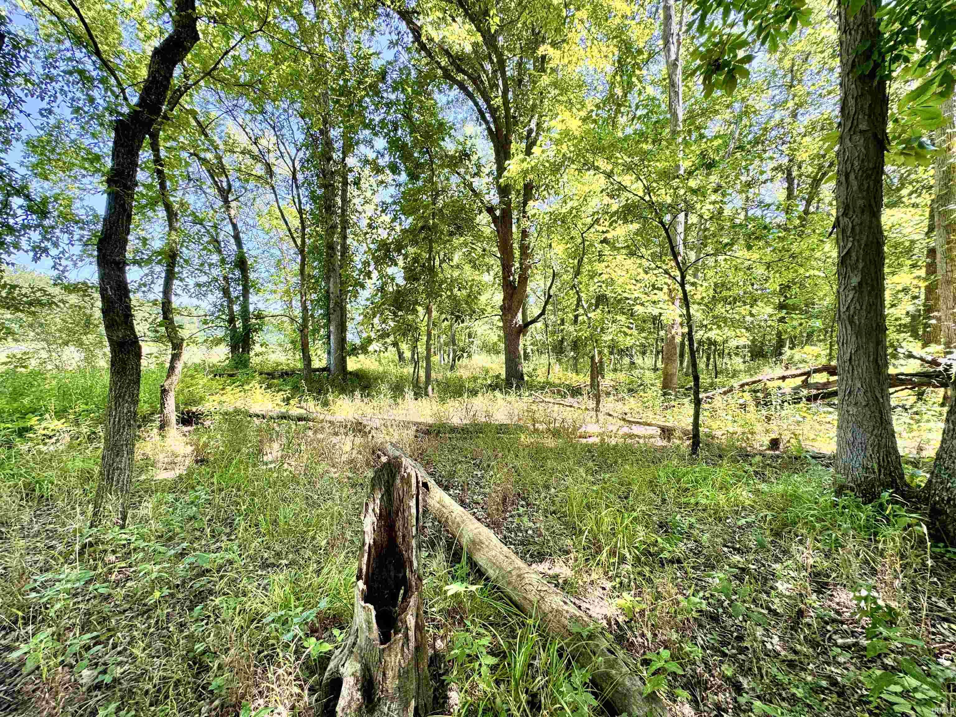 Flint Rd East Flint Road Attica, IN 47918 - Photo 17 of 36