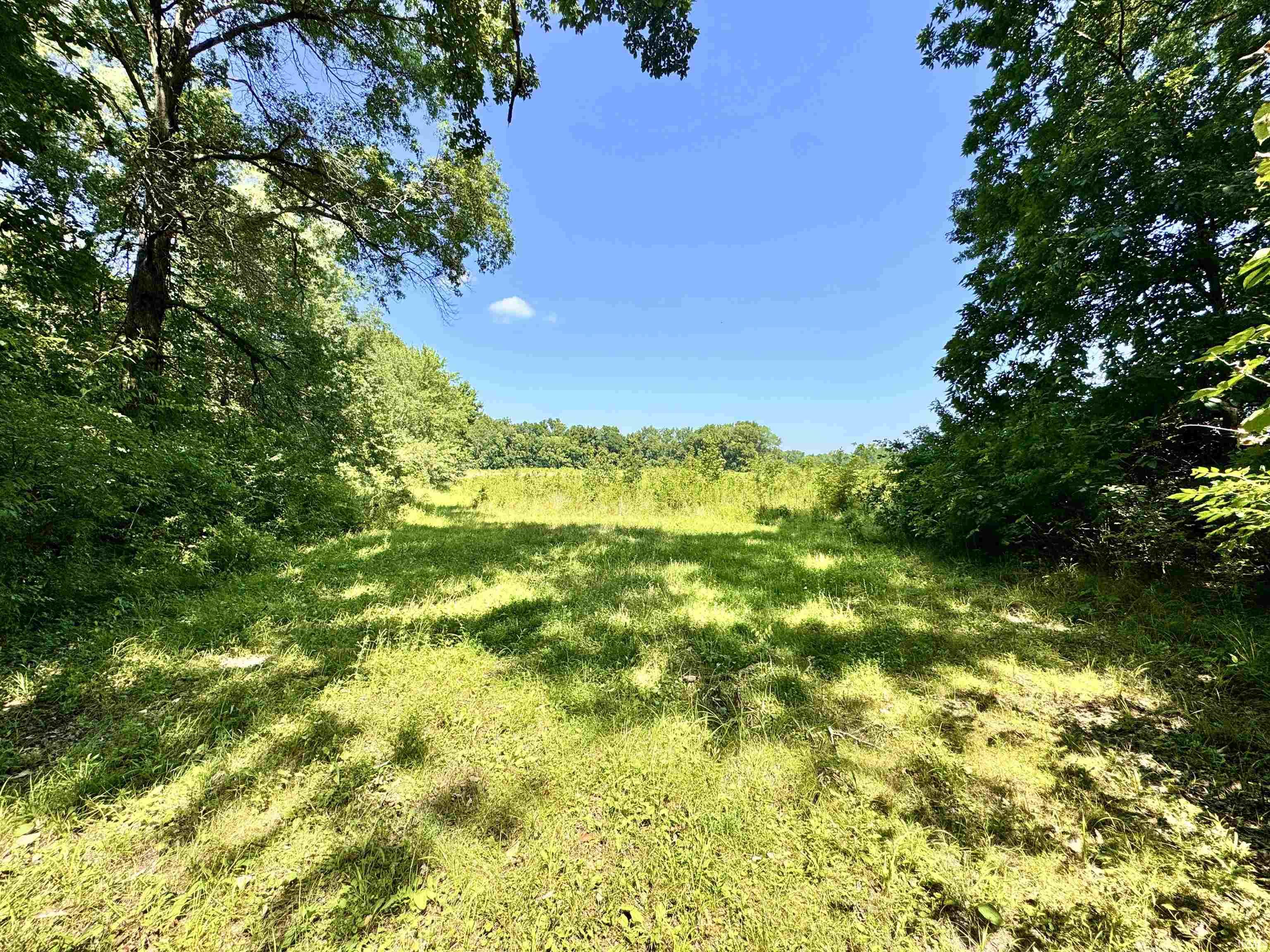 Flint Rd East Flint Road Attica, IN 47918 - Photo 2 of 36