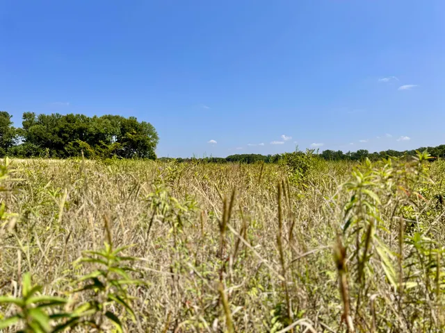 $409,900 | Flint Rd East Flint Road, Attica, IN 47918