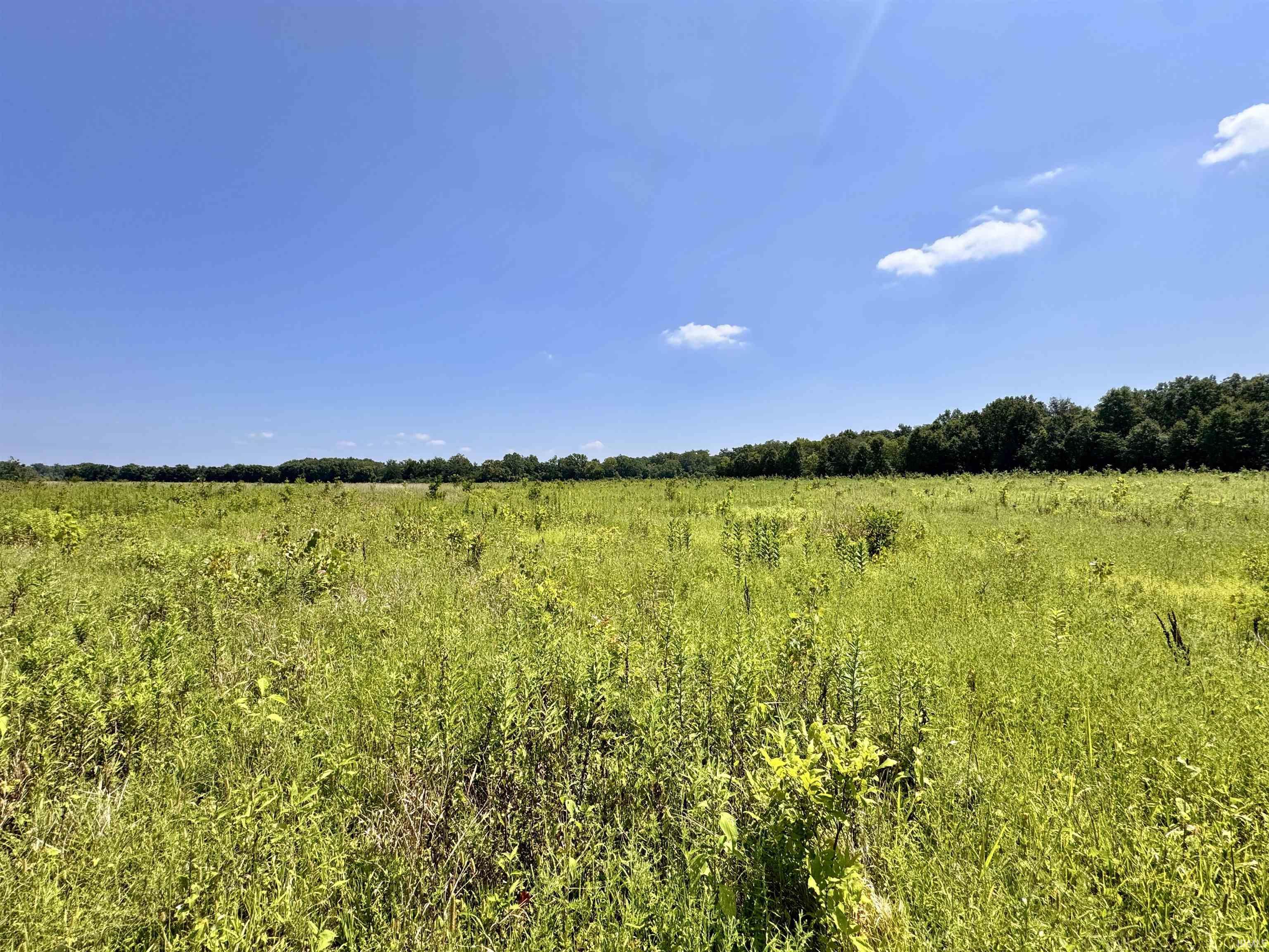 Flint Rd East Flint Road Attica, IN 47918 - Photo 26 of 36