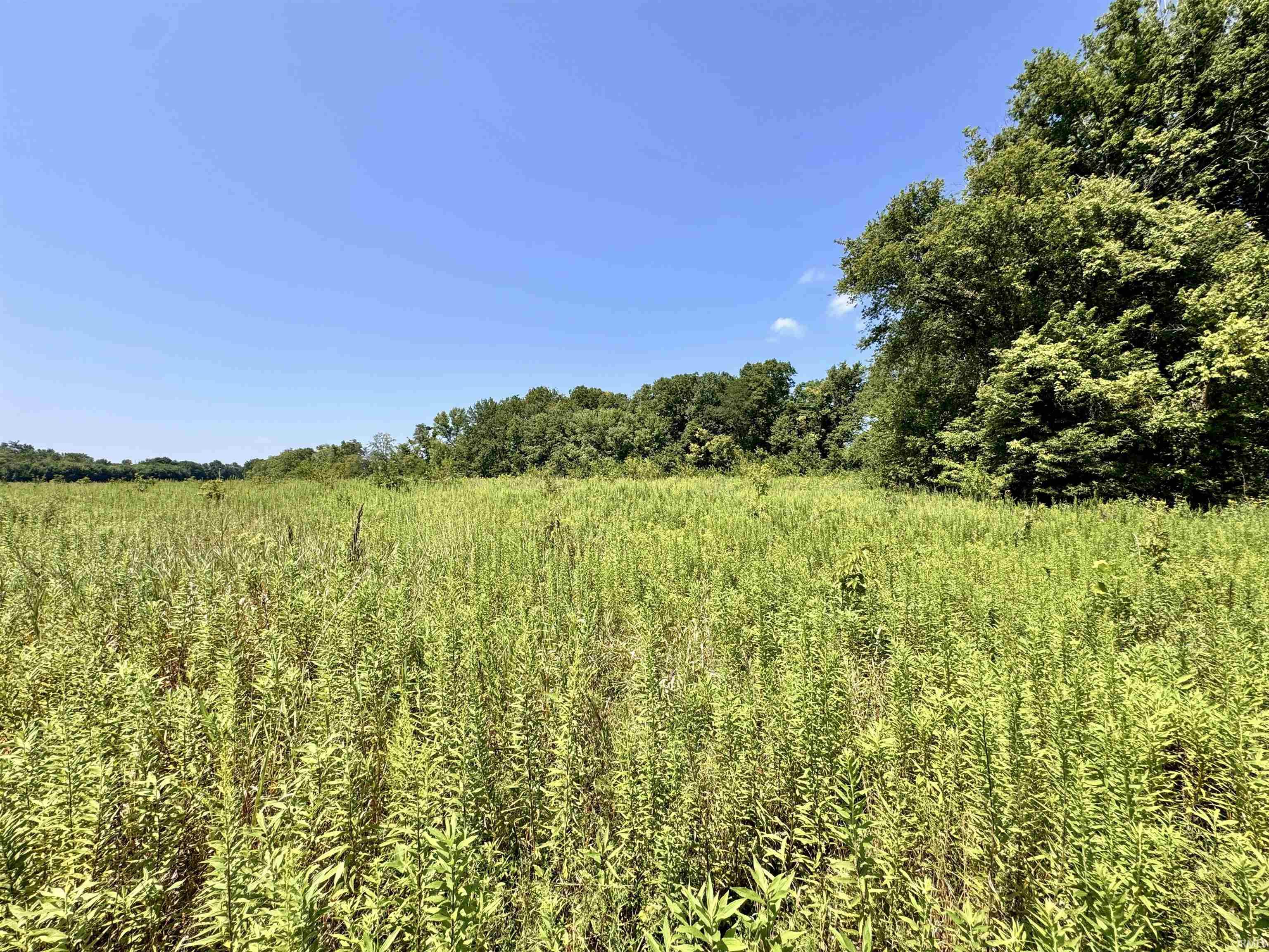 Flint Rd East Flint Road Attica, IN 47918 - Photo 29 of 36