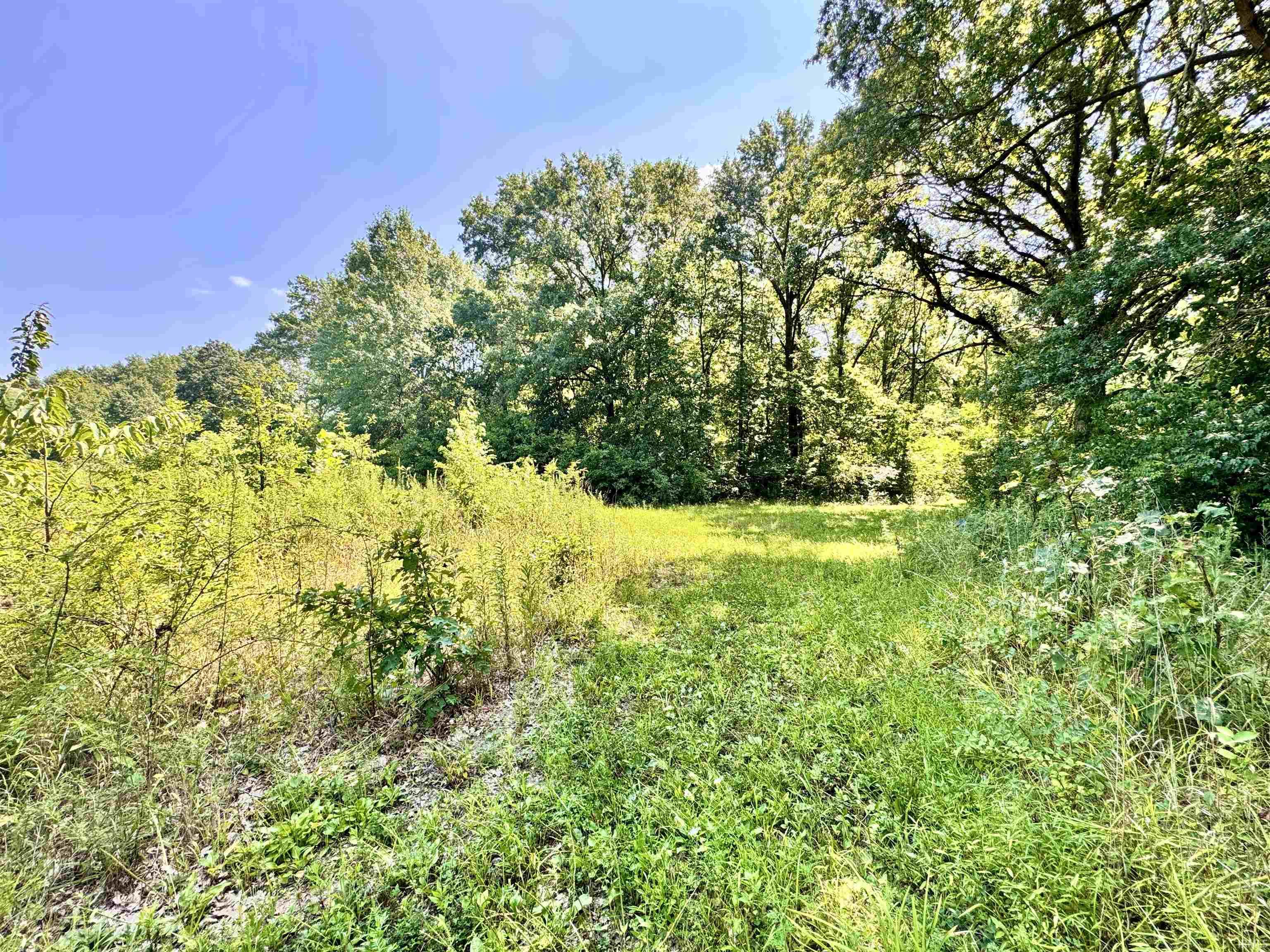 Flint Rd East Flint Road Attica, IN 47918 - Photo 31 of 36