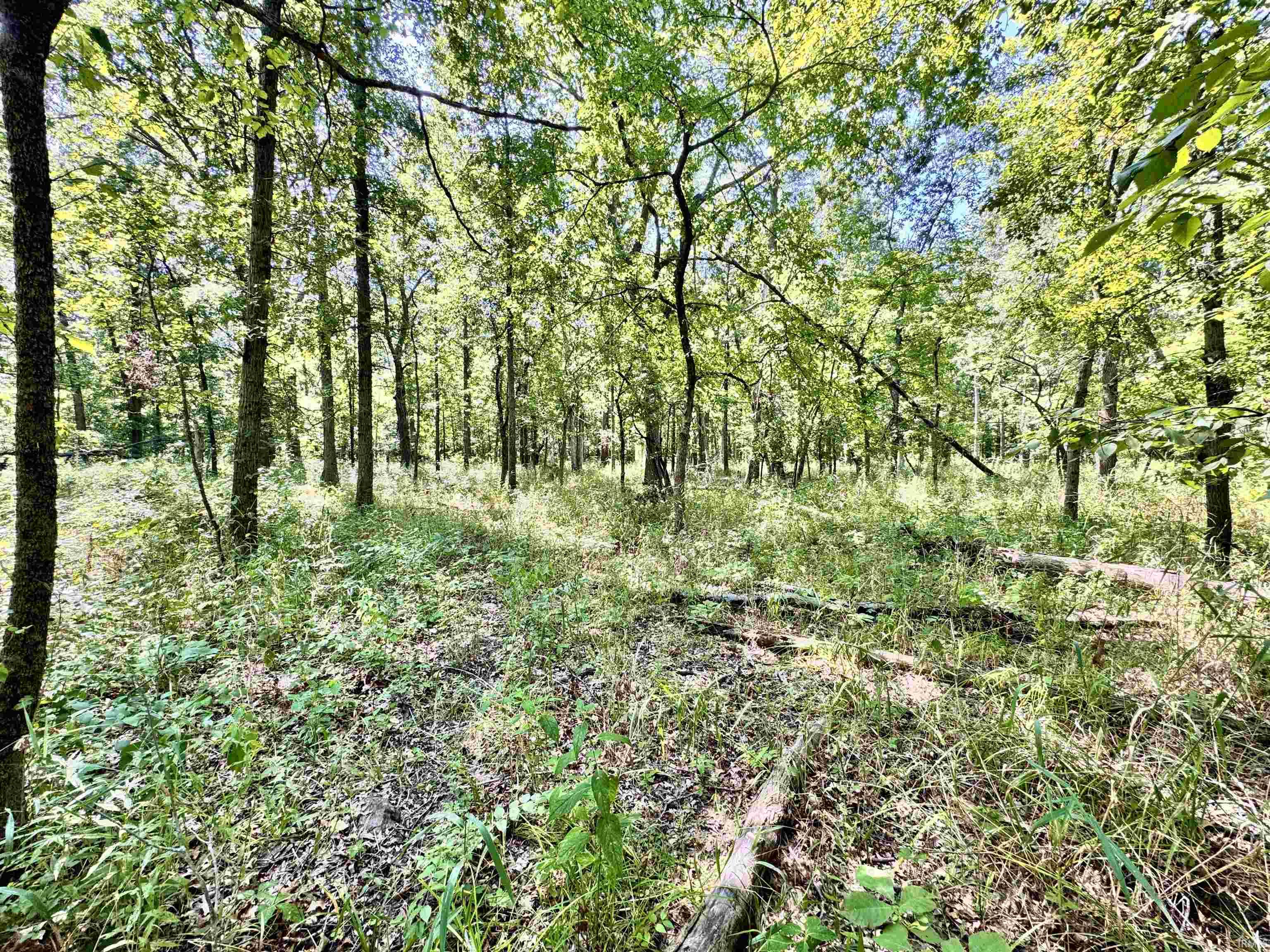 Flint Rd East Flint Road Attica, IN 47918 - Photo 4 of 36