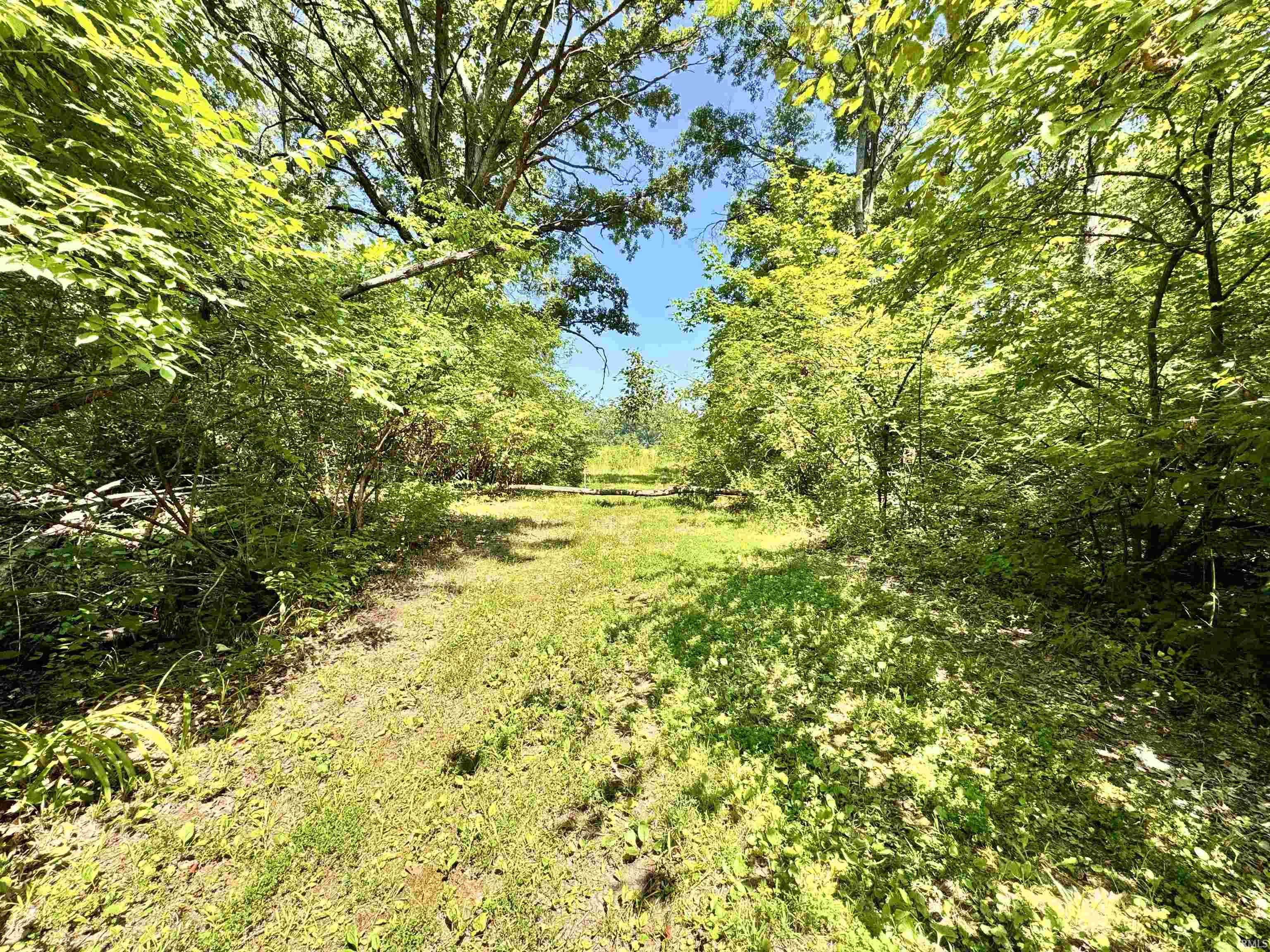 Flint Rd East Flint Road Attica, IN 47918 - Photo 9 of 36