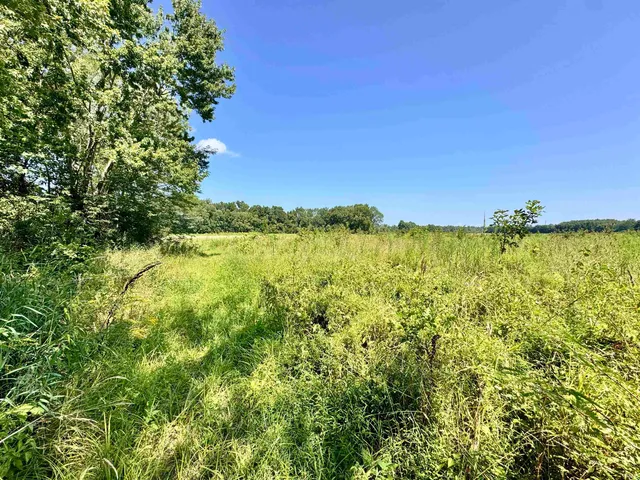 $409,900 | Flint Rd East Flint Road, Attica, IN 47918