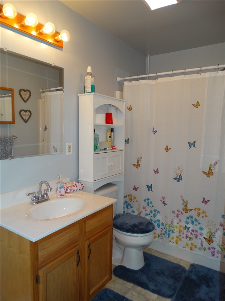324 Good Hope Church Road Aroda, VA 22709 - Photo 27 of 32 a bathroom with a sink a toilet and a shower