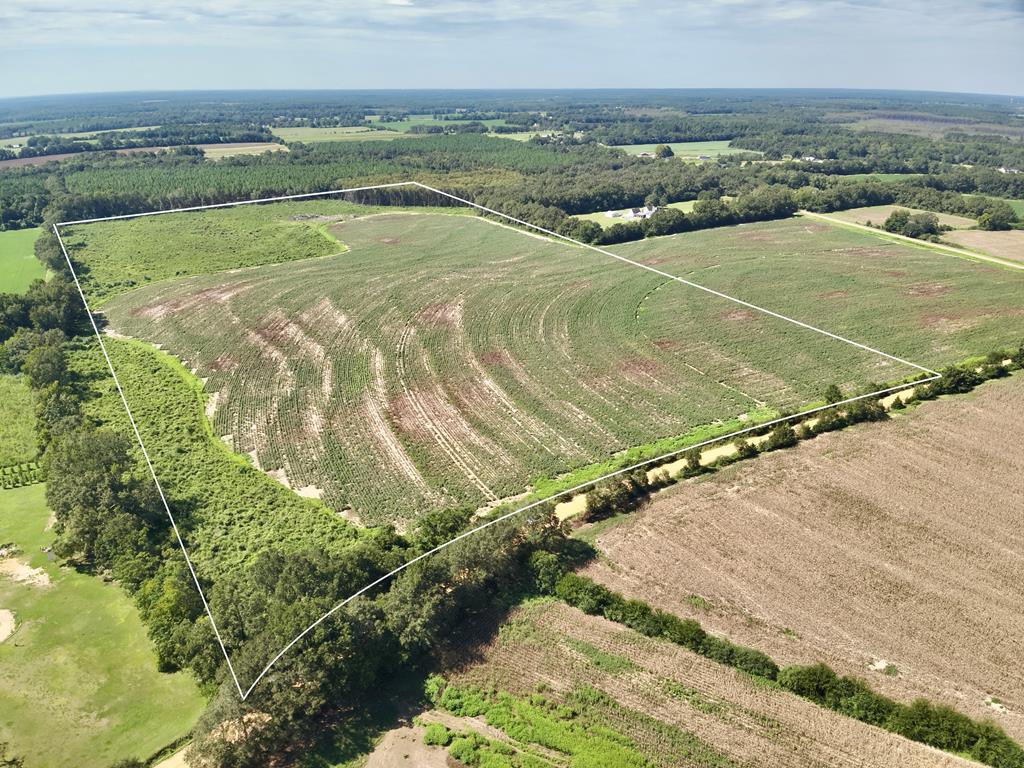 73-acres Shiver Road Daleville, AL 36322 - Photo 1 of 14
