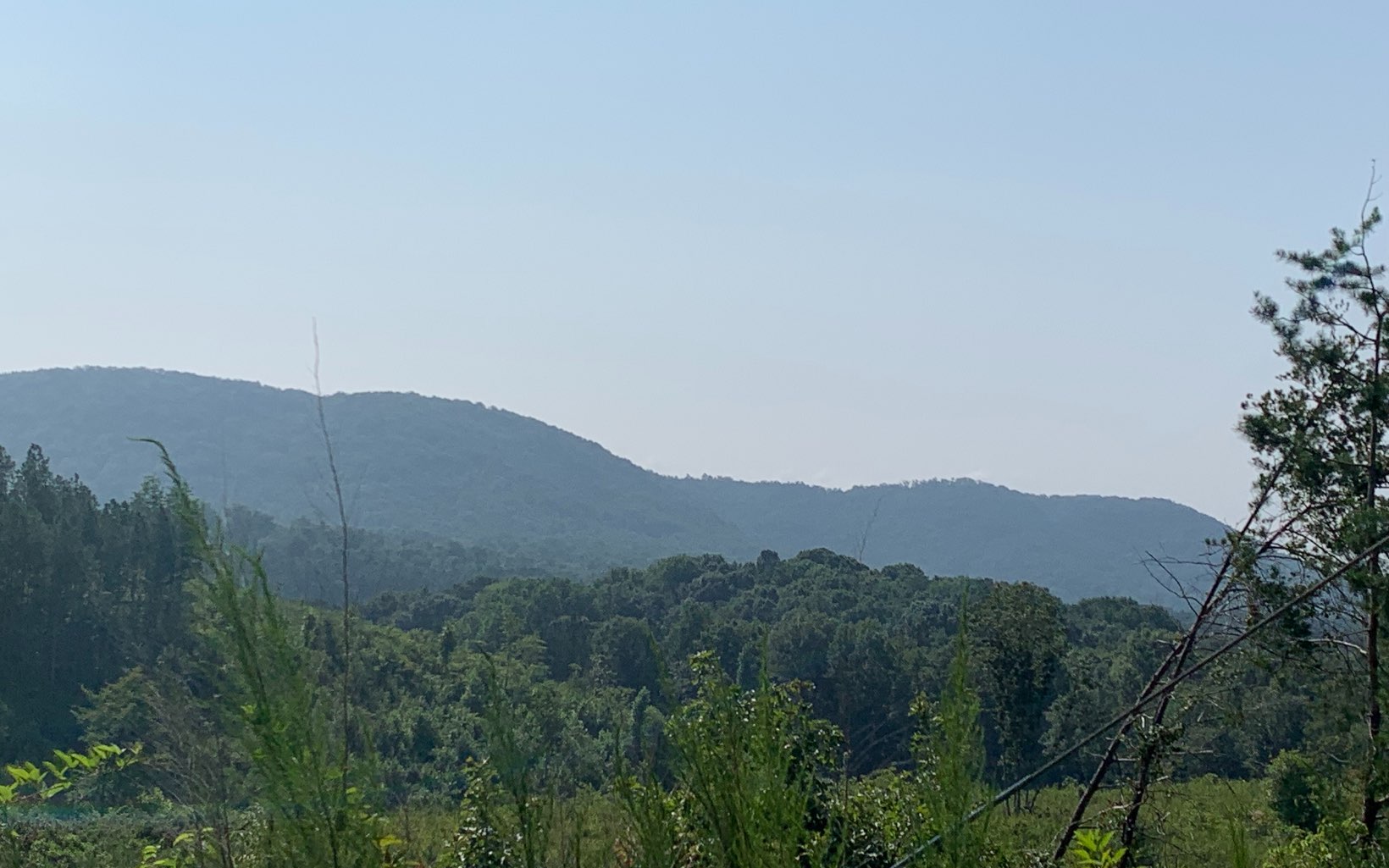 22.23 Acres Red Bud Road Ranger, GA 30734 - Photo 2 of 4 Additional View