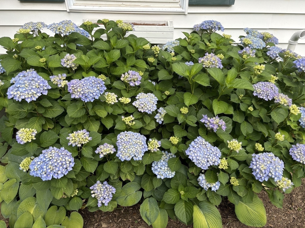90 Maple Street Douglas, MA 01516 - Photo 31 of 32 Gallery Image 31