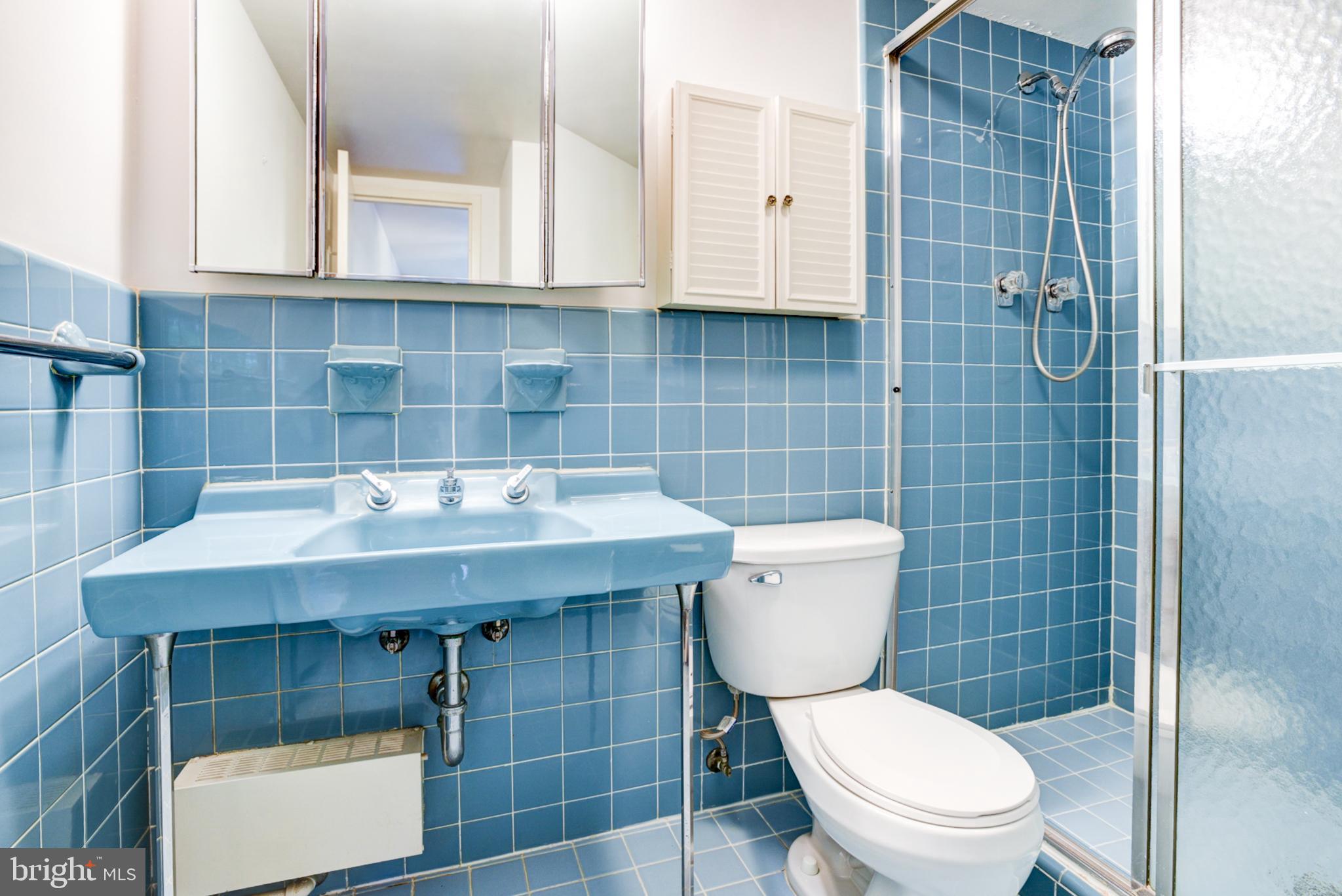4201 Cathedral Avenue Northwest, Unit 201E Washington, DC 20016 - Photo 33 of 66 a bathroom with a toilet a sink and mirror