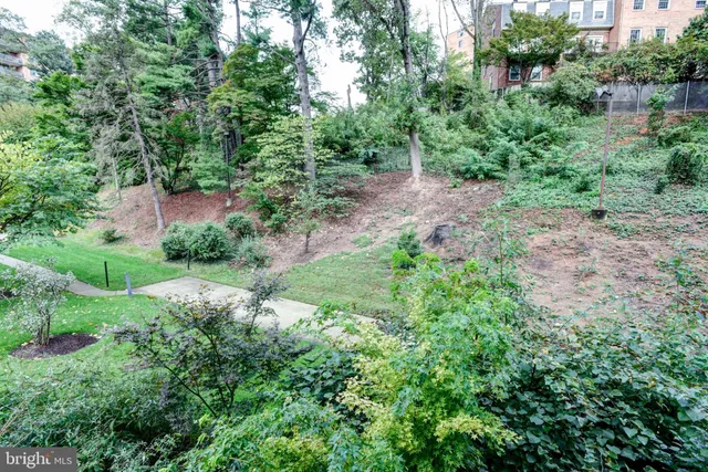 a view of outdoor space with garden