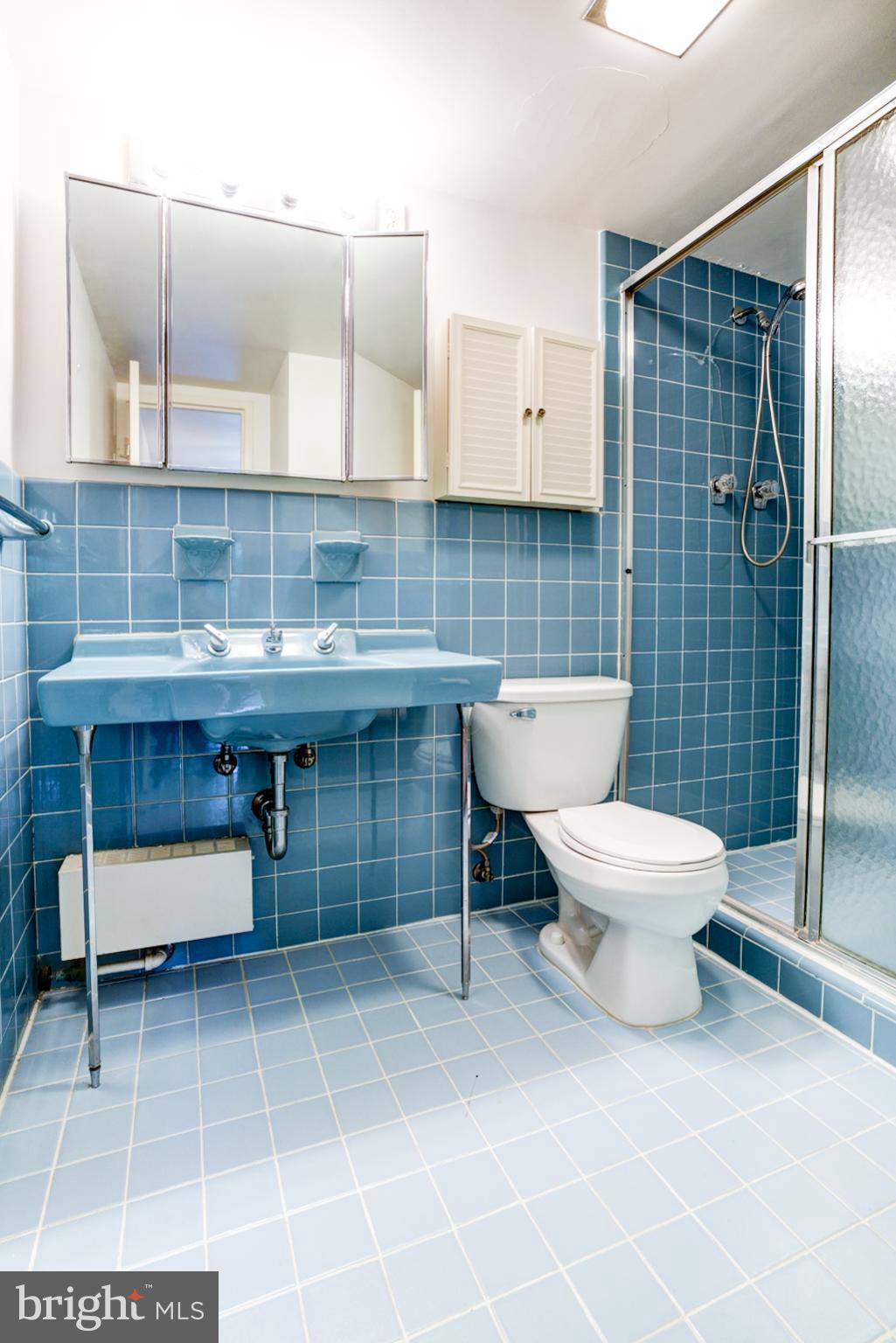 4201 Cathedral Avenue Northwest, Unit 201E Washington, DC 20016 - Photo 37 of 66 a bathroom with a toilet a sink and mirror