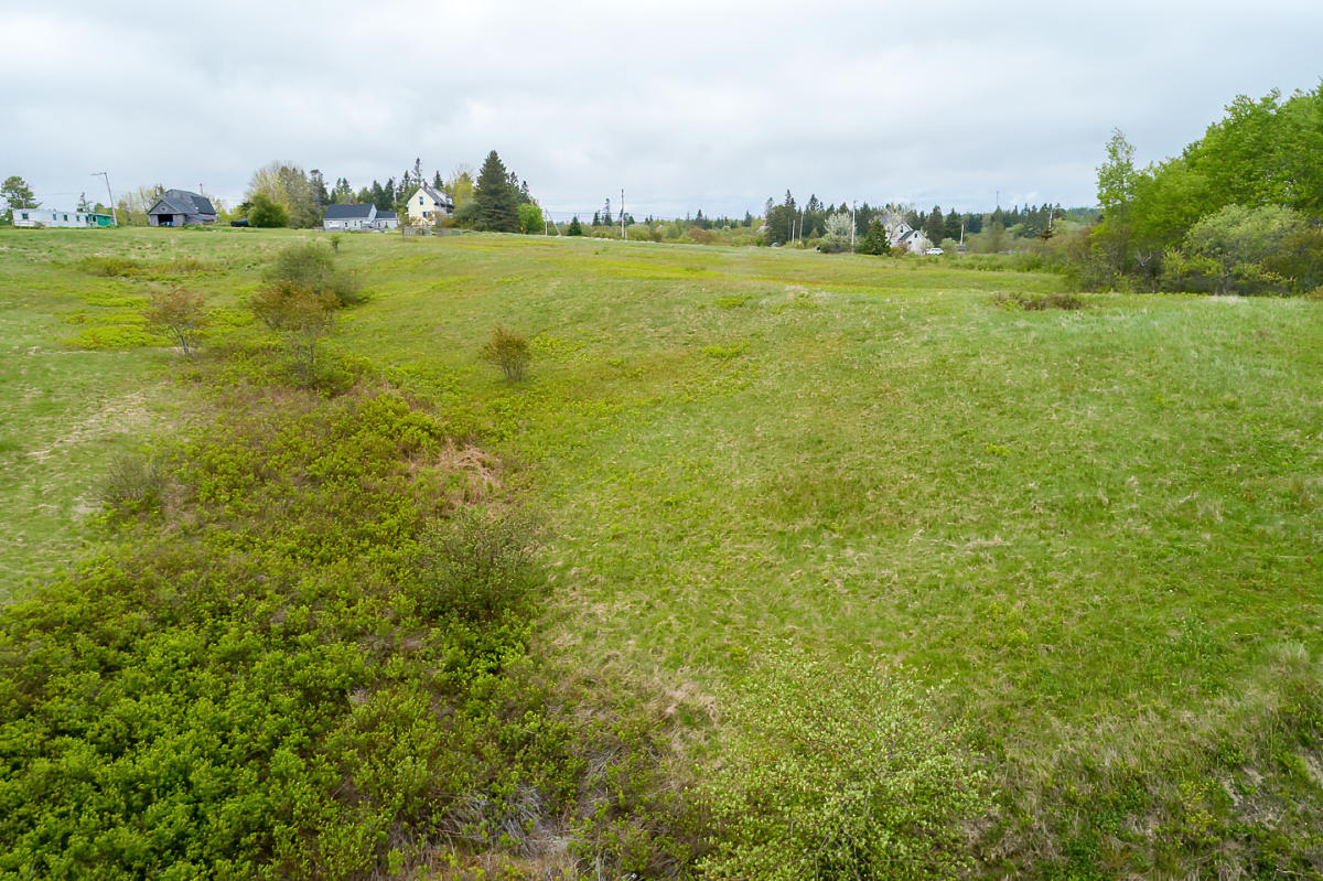 0 Old Rte 1 Jonesboro, ME 04648 - Photo 15 of 25 0 Old Route 1 LoRes (24)