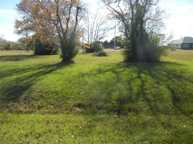 a view of yard with trees