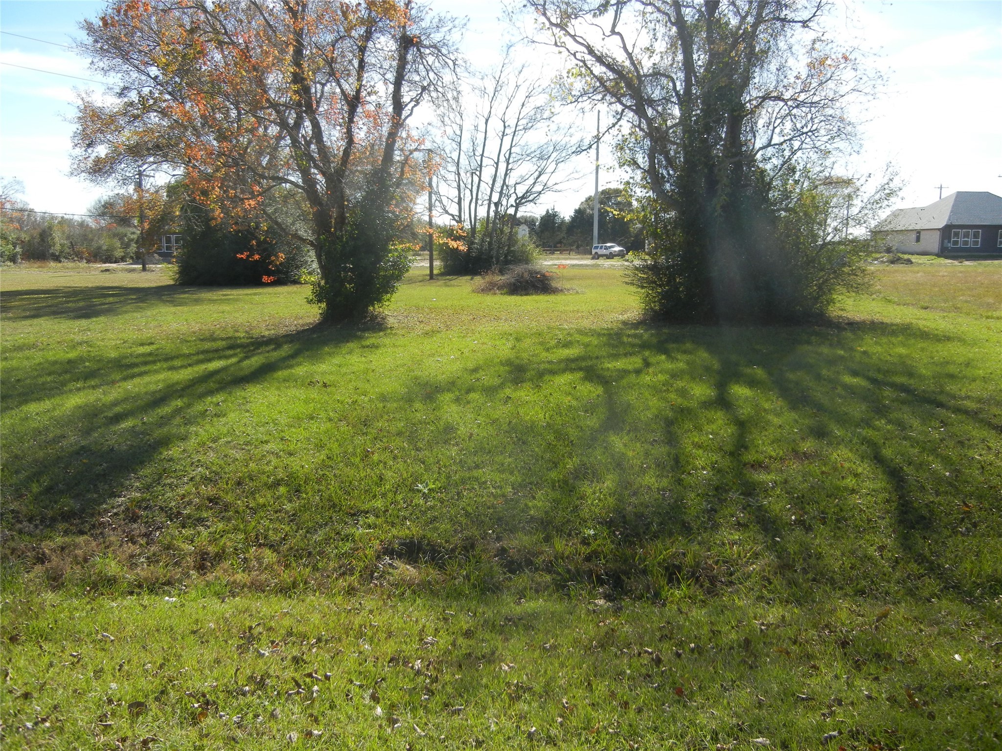 a view of yard with trees