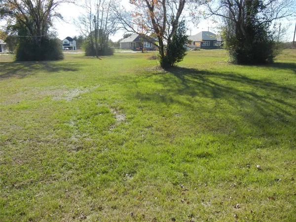 a view of yard with trees