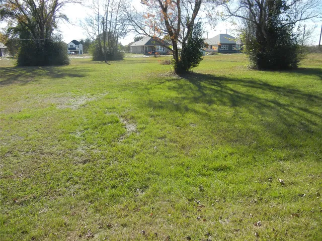 a view of yard with trees