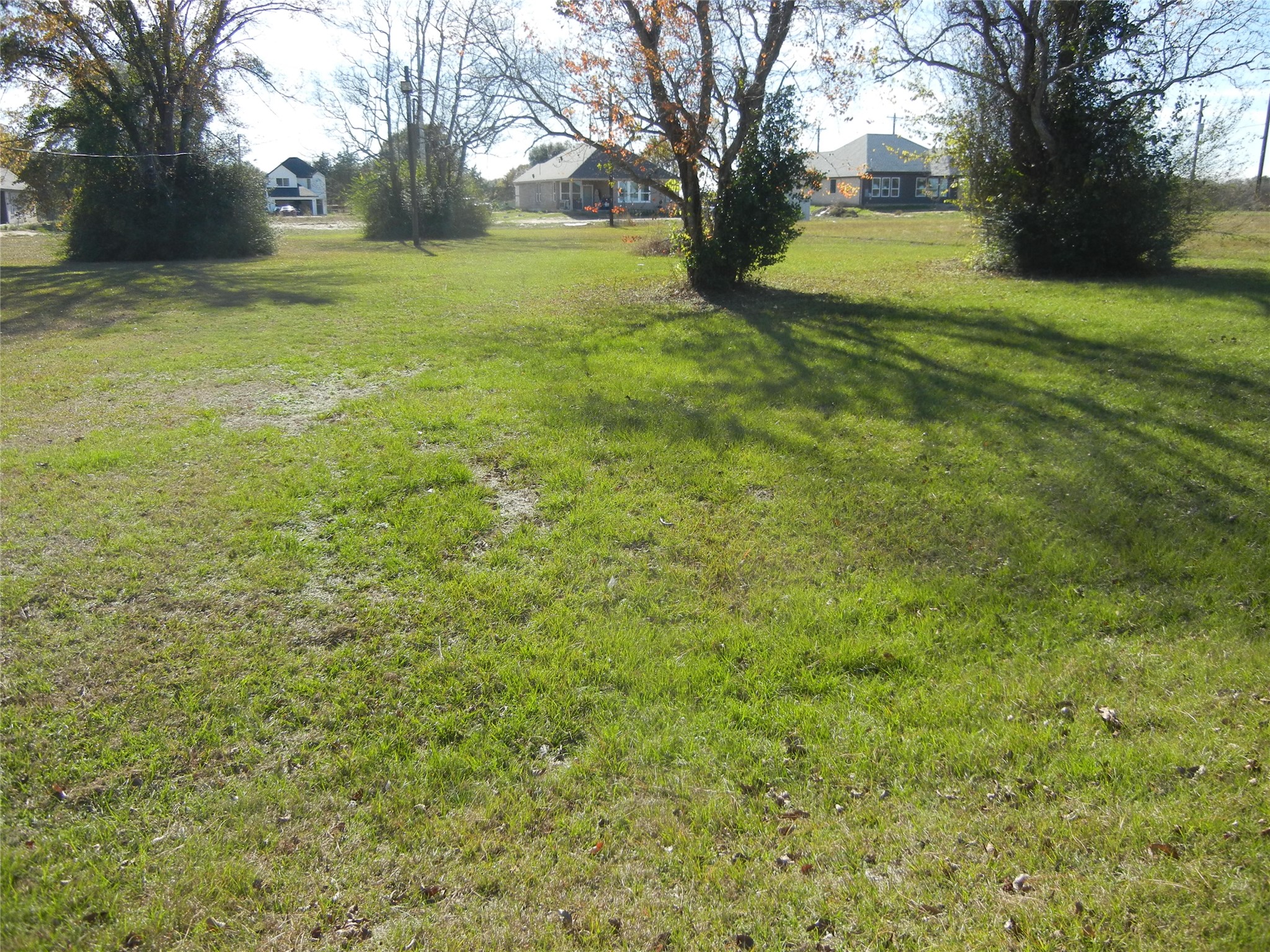 513 Begonia Street Prairie View, TX 77484 - Photo 2 of 2 a view of yard with trees